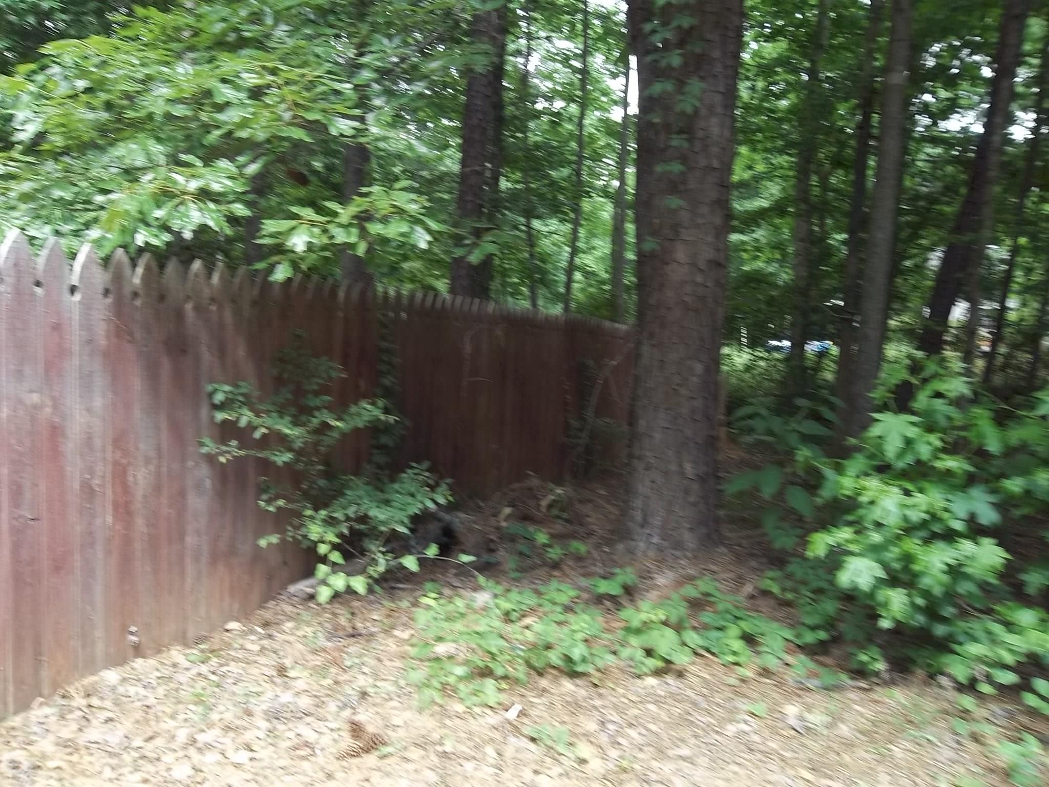 40 Apache Pointe Dr, Senoia, GA 30276 photo 23