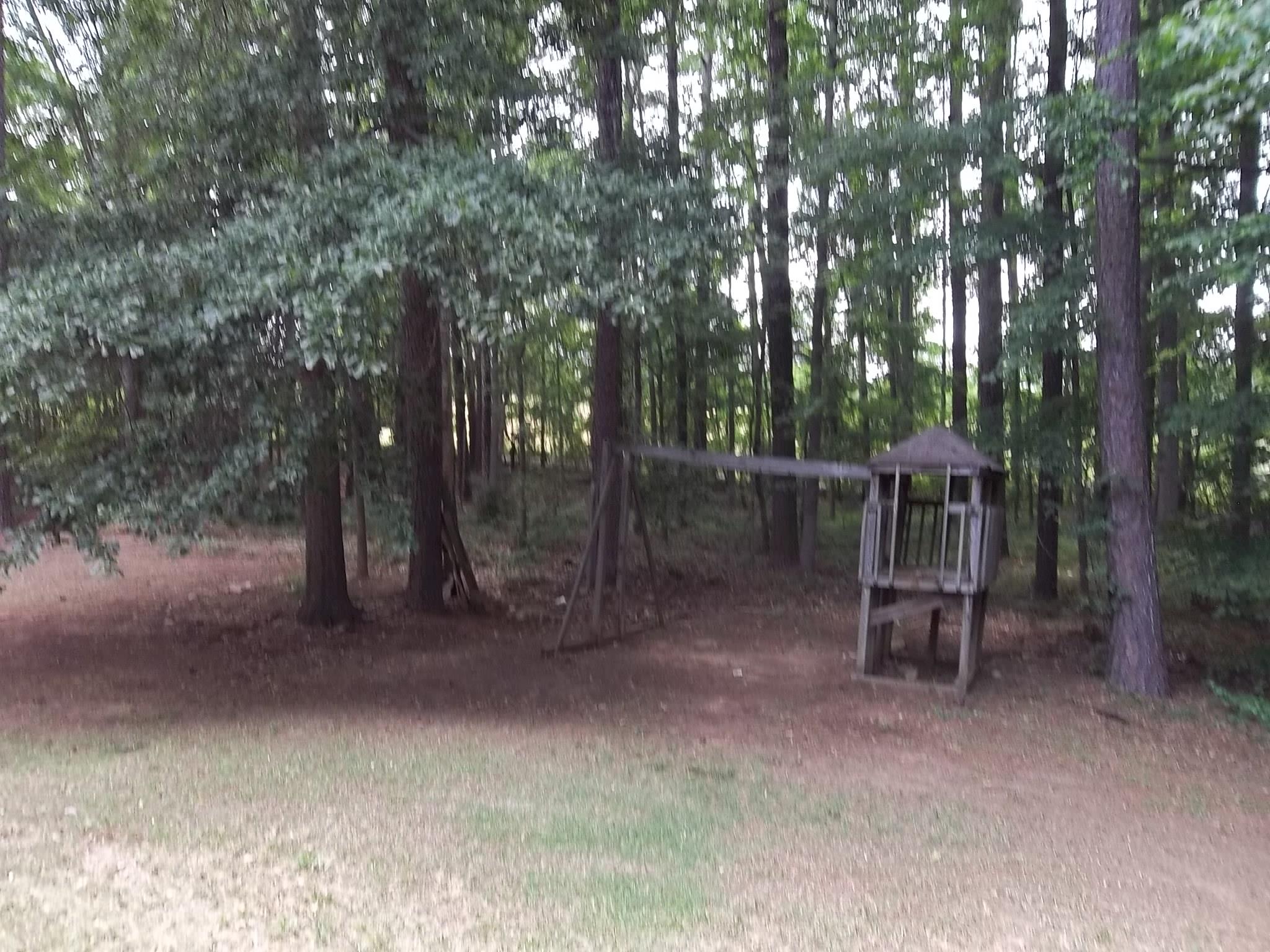 40 Apache Pointe Dr, Senoia, GA 30276 photo 24