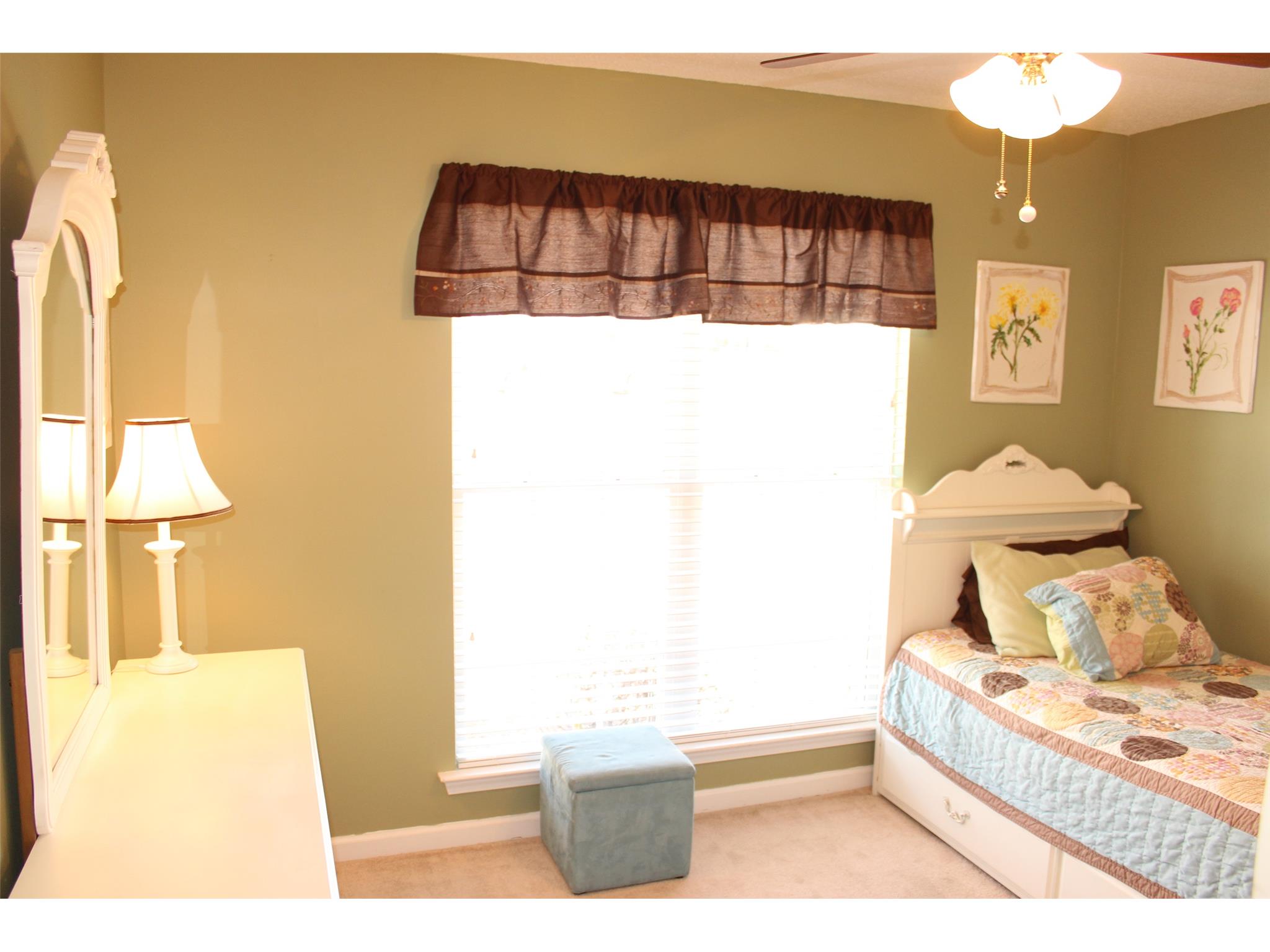 331 Simeon Rd, Statham, GA 30666 photo 16