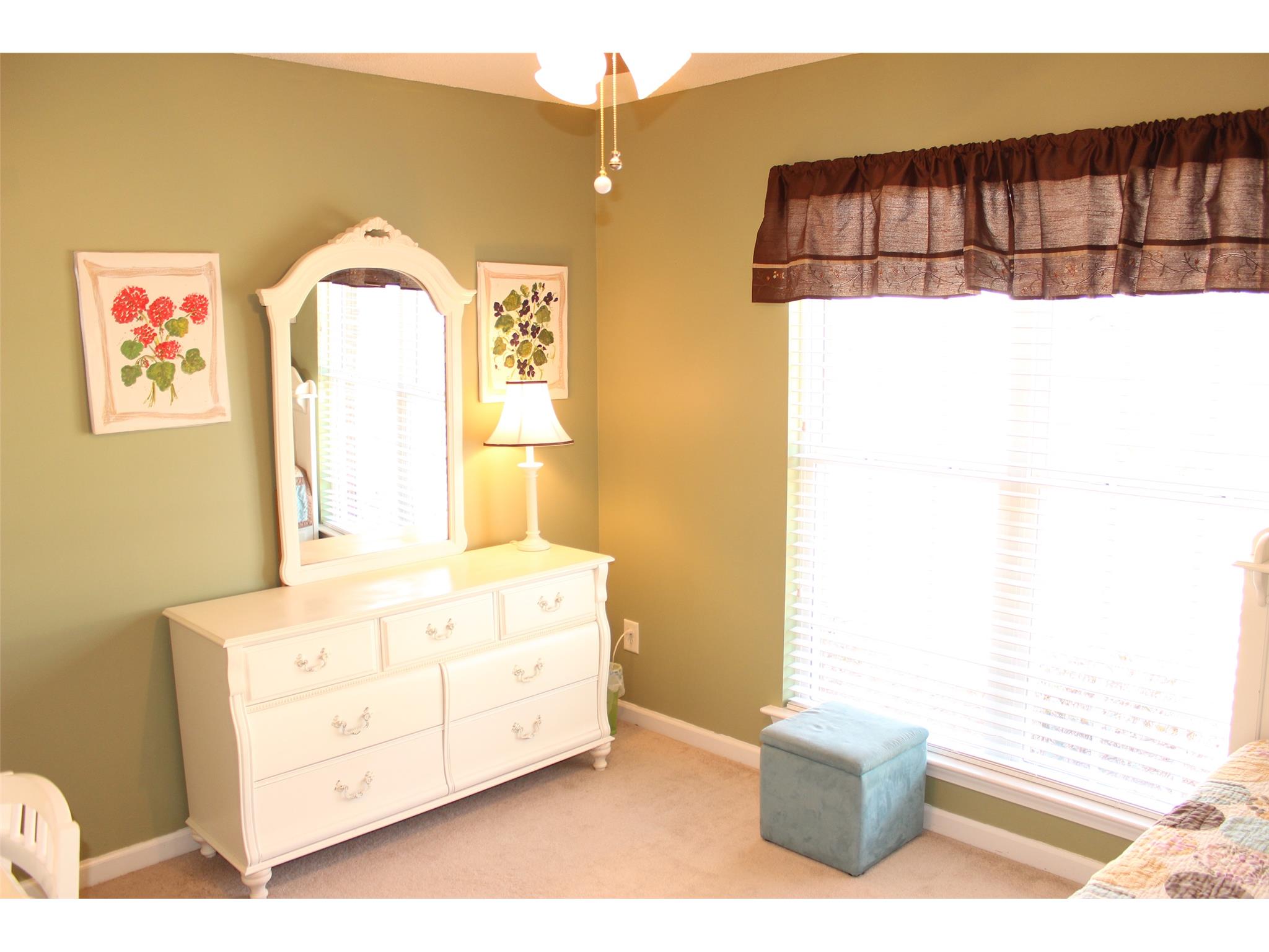 331 Simeon Rd, Statham, GA 30666 photo 15