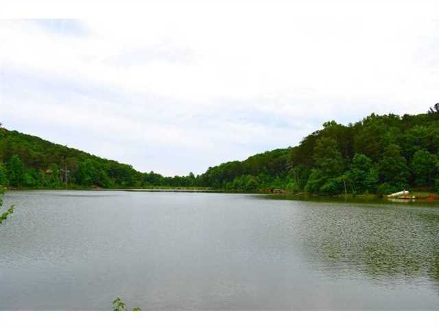 66 Basin Ct, Jasper, GA 30143 photo 2