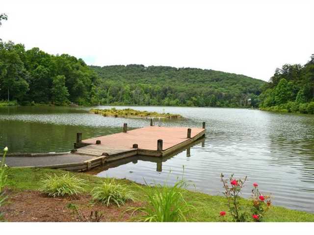 66 Basin Ct, Jasper, GA 30143 photo 23