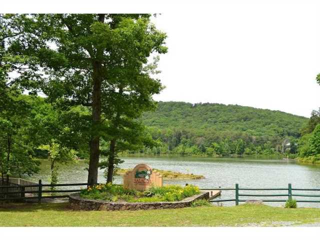 66 Basin Ct, Jasper, GA 30143 photo 21