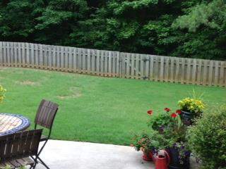 4 Paddock Pl, Rome, GA 30161 photo 18