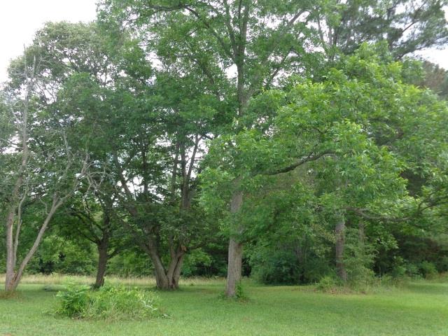 788 Foote Mcclellan Rd, Colbert, GA 30628 photo 5