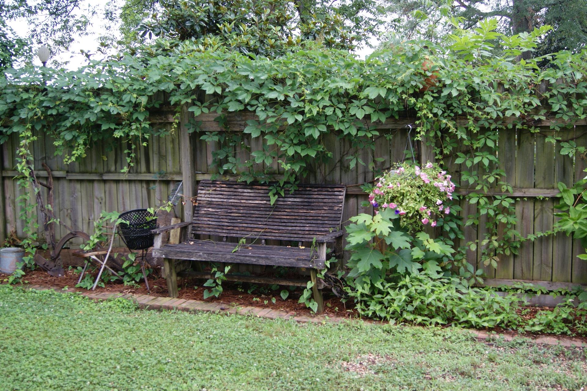 108 Williams St, Monroe, GA 30655 photo 23