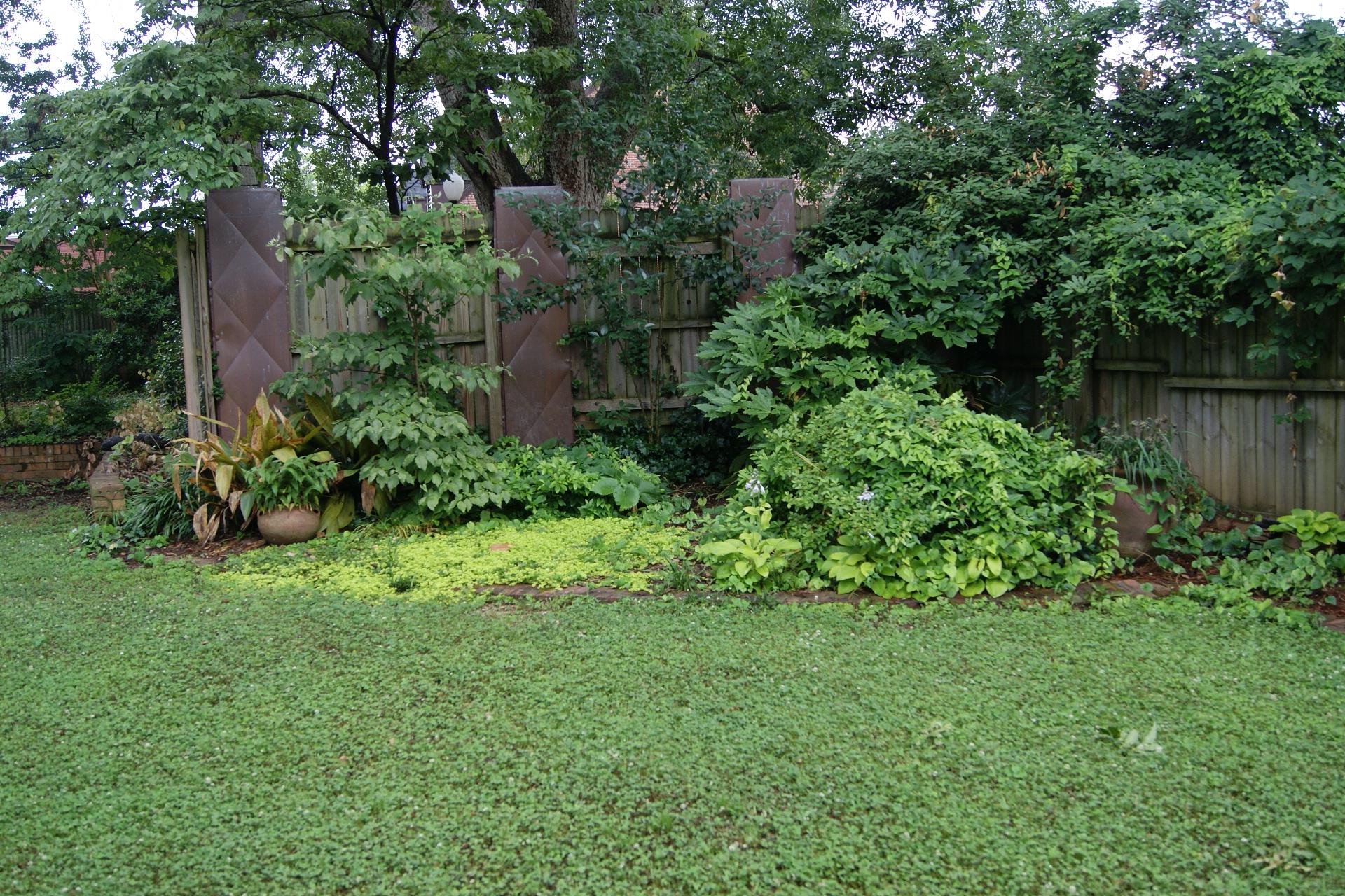 108 Williams St, Monroe, GA 30655 photo 24