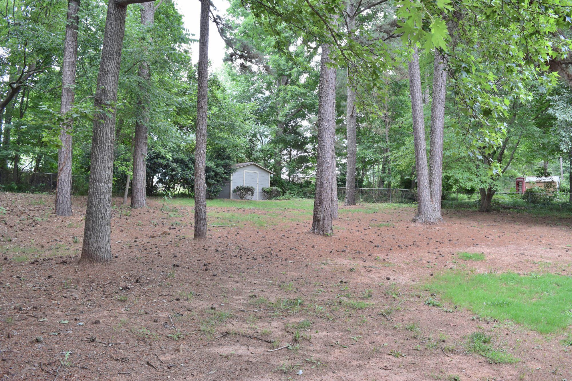751 Forest Park Ln, Suwanee, GA 30024 photo 4