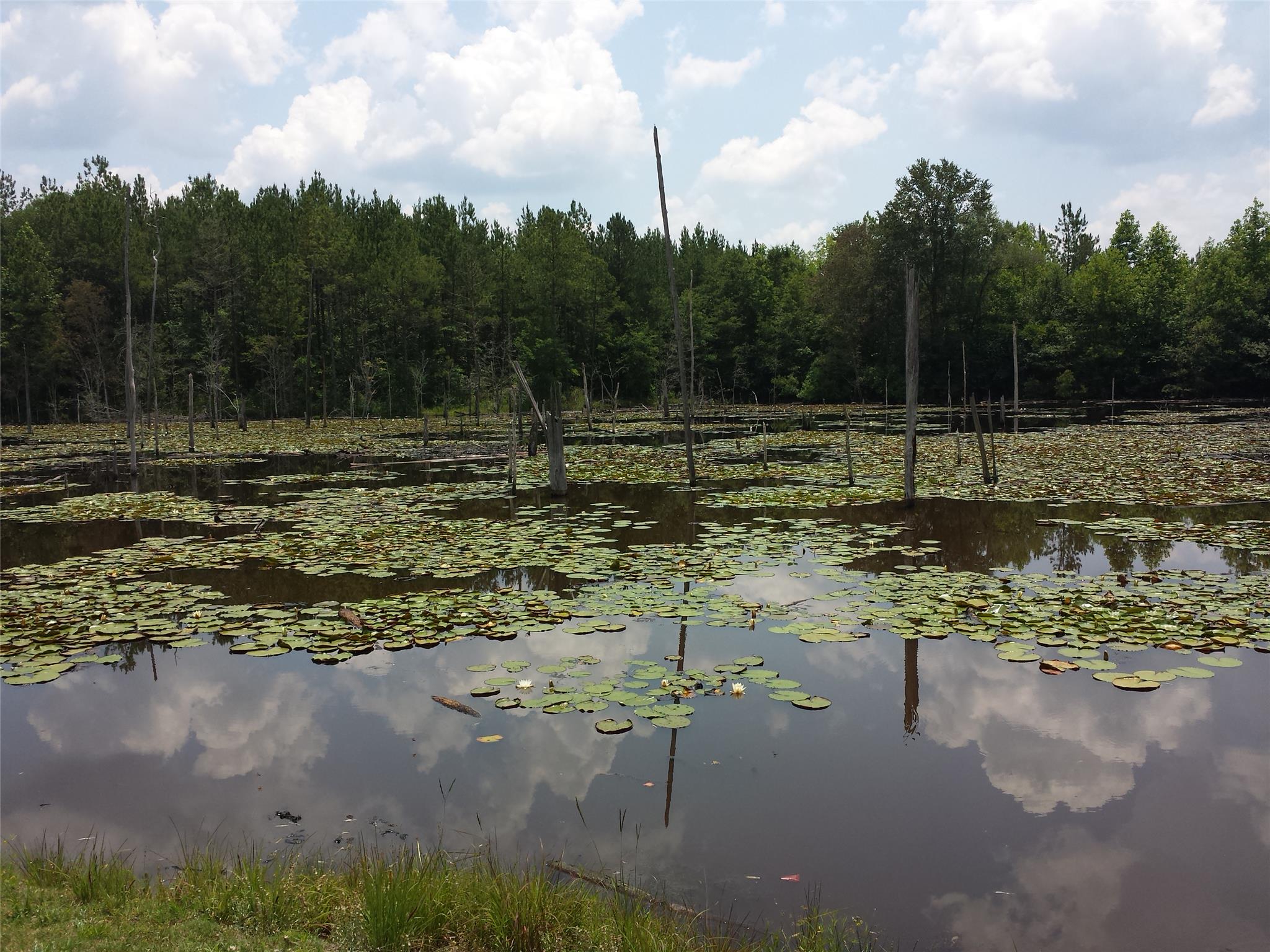1908 Meeks Rd, Kite, GA 31049 photo 5