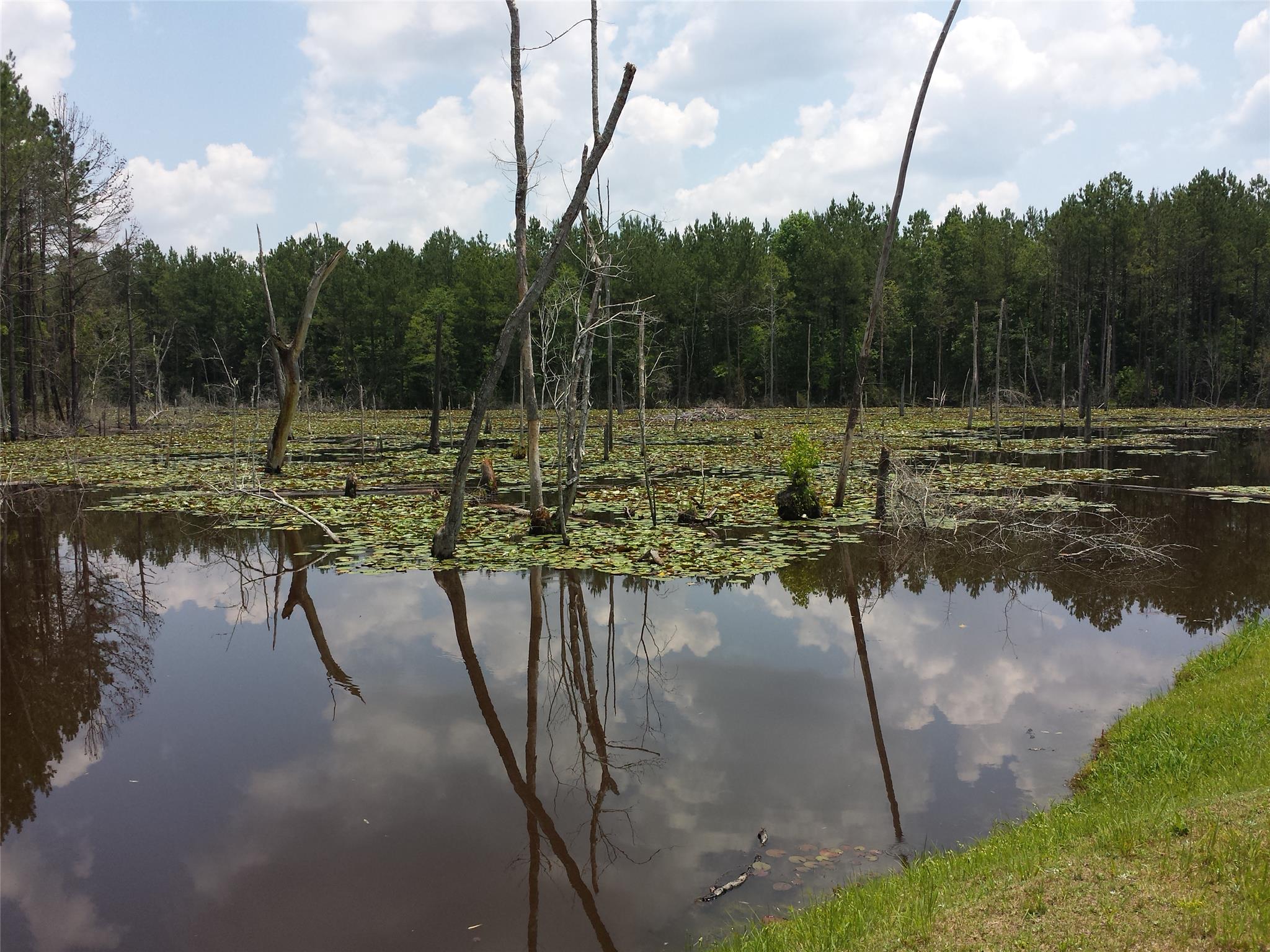 1908 Meeks Rd, Kite, GA 31049 photo 4