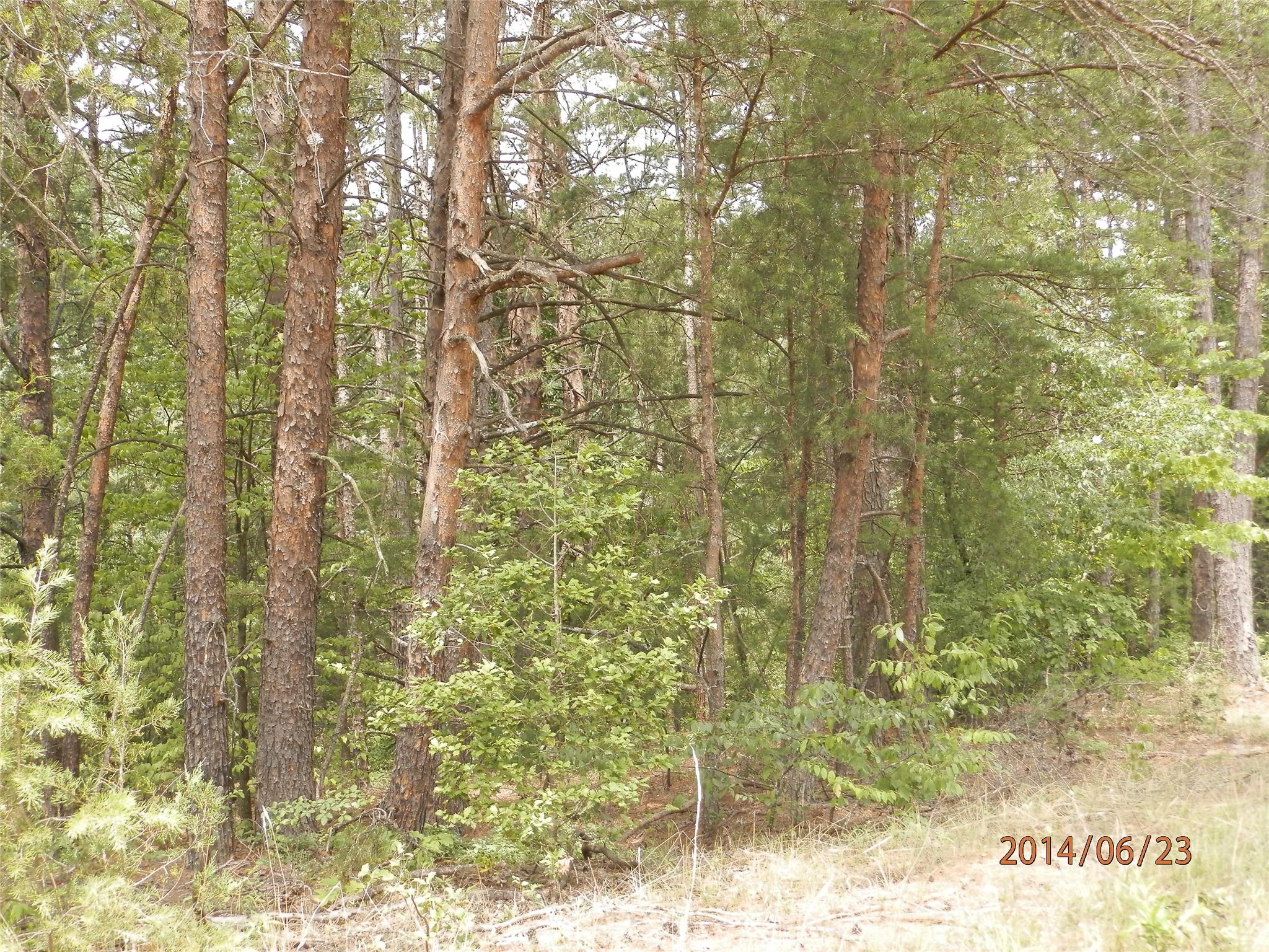 1165 Lovers Ln, Toccoa, GA 30577 photo 2