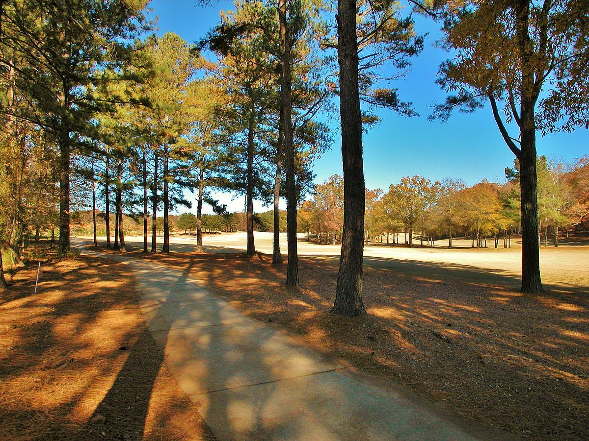 2633 Bent Pine Dr, Statham, GA 30666 photo 10