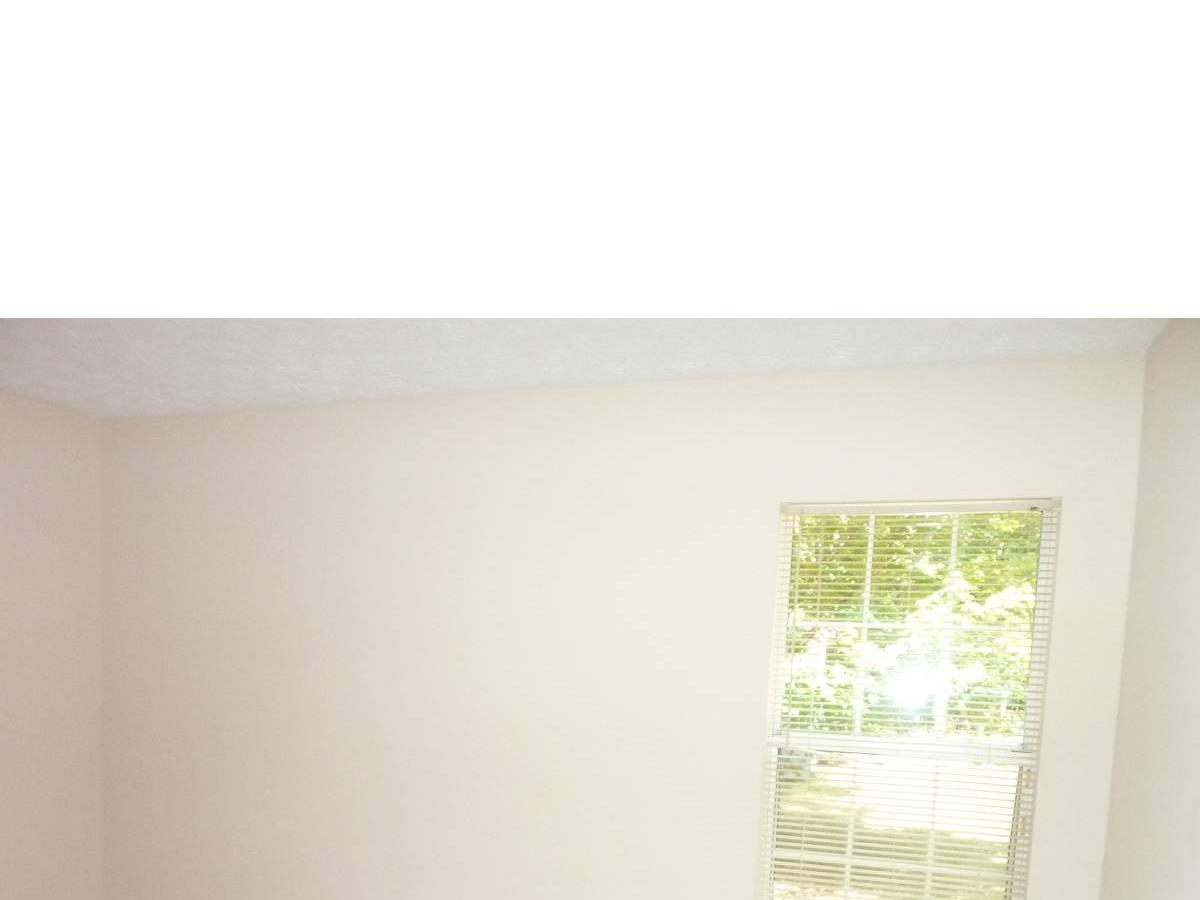 10984 Highridge Ct, Hampton, GA 30228 photo 11