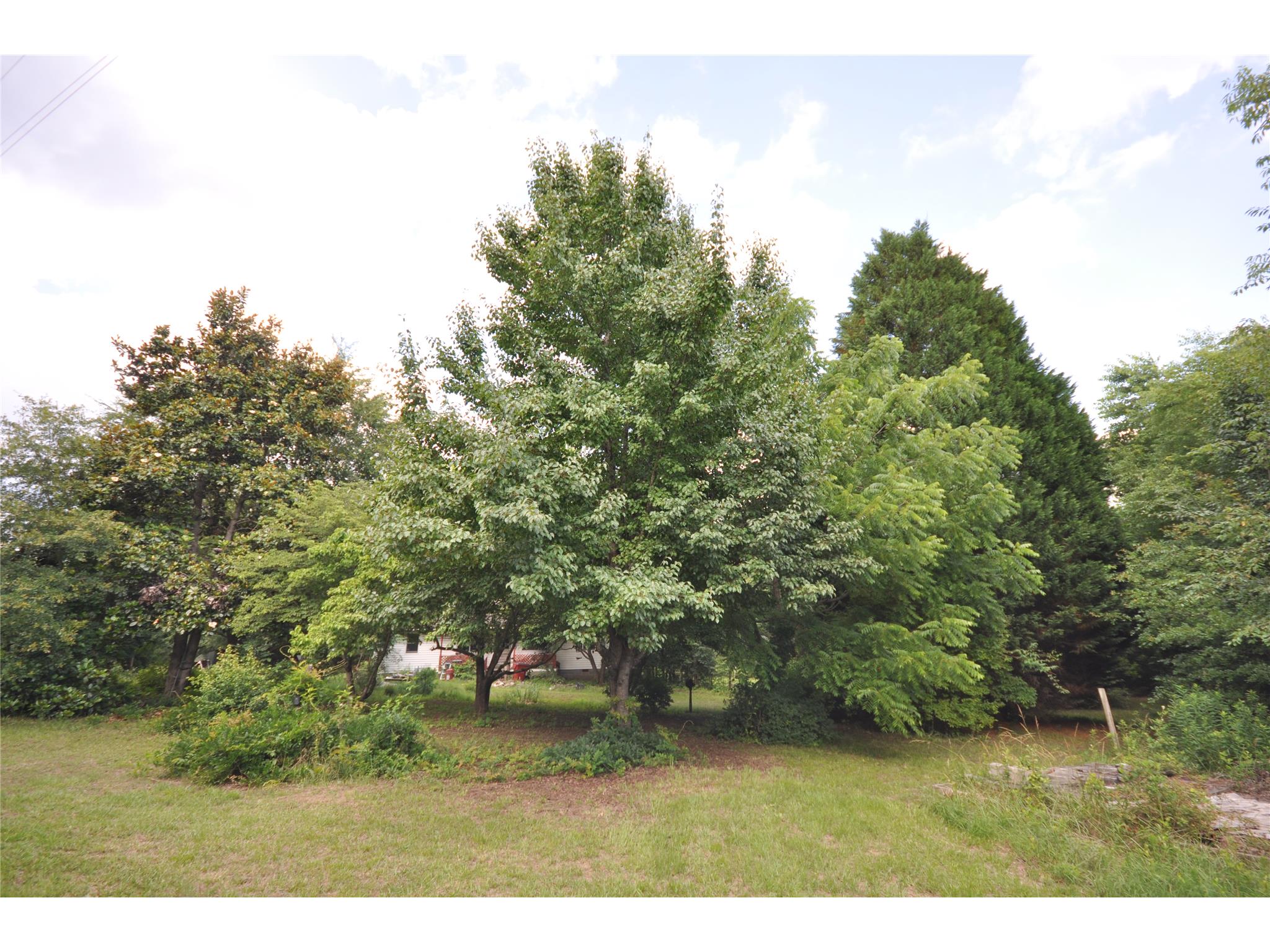 13869 Ricketts Rd, Hampton, GA 30228 photo 17