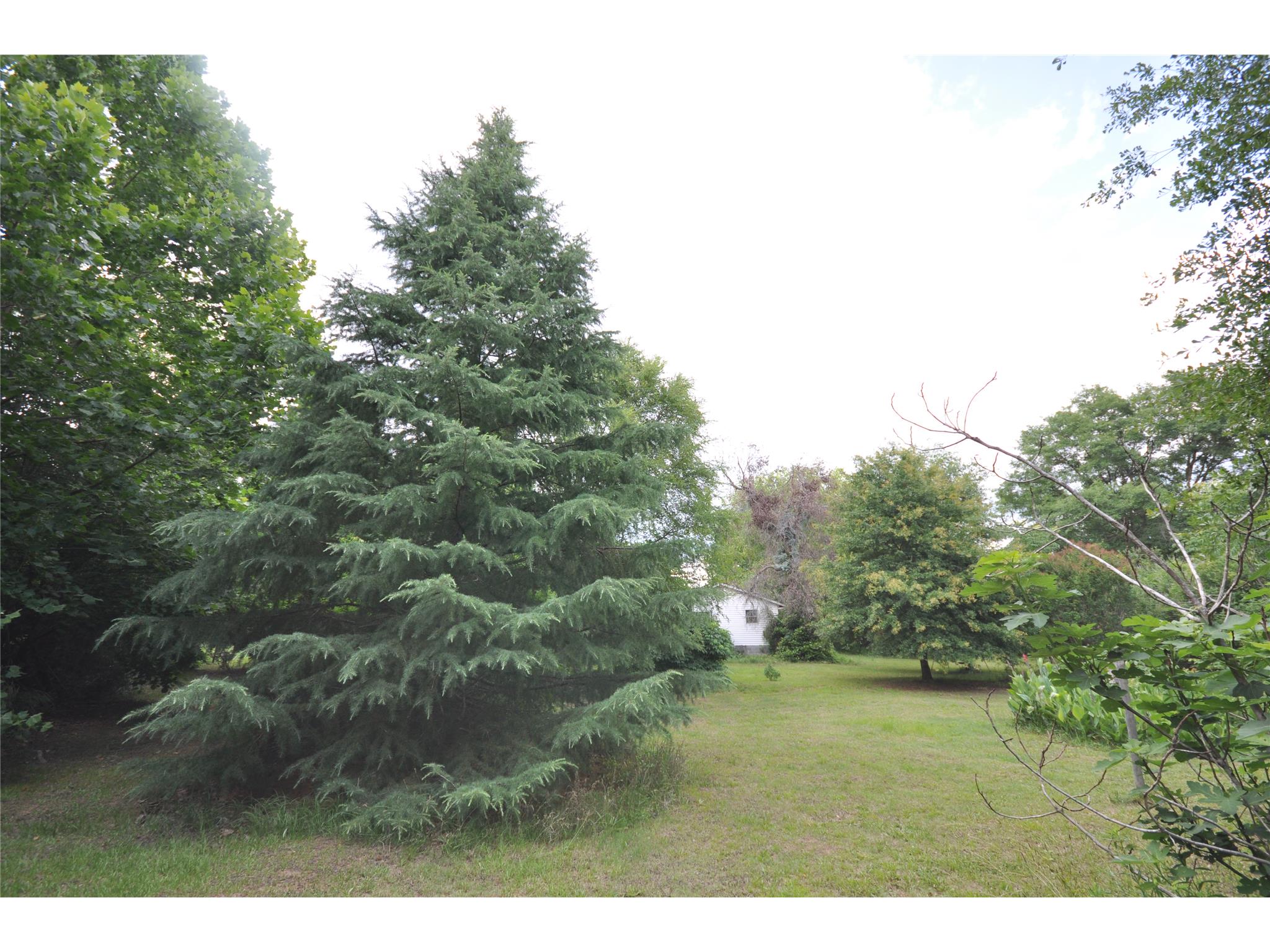 13869 Ricketts Rd, Hampton, GA 30228 photo 12