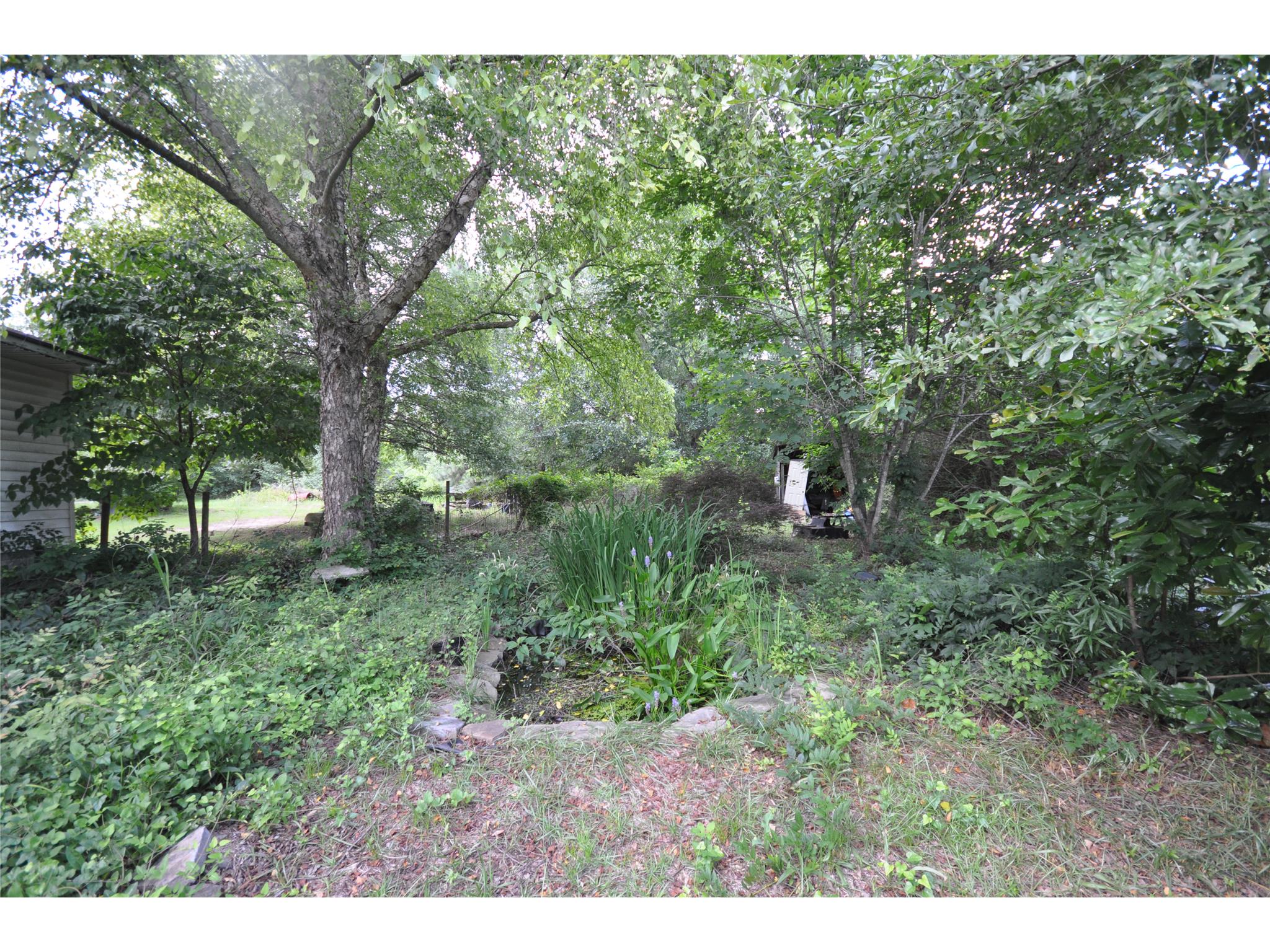 13869 Ricketts Rd, Hampton, GA 30228 photo 10