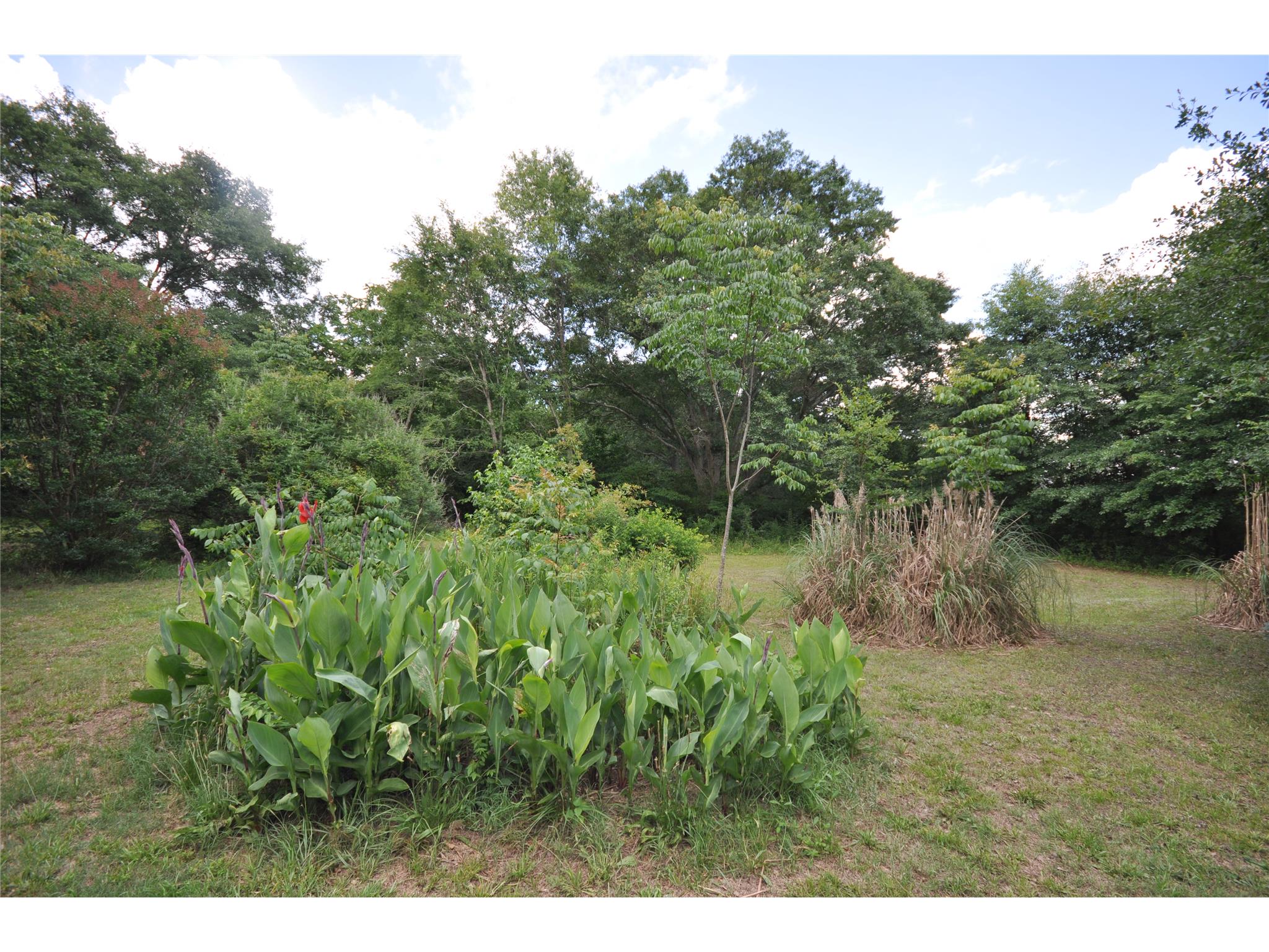 13869 Ricketts Rd, Hampton, GA 30228 photo 11