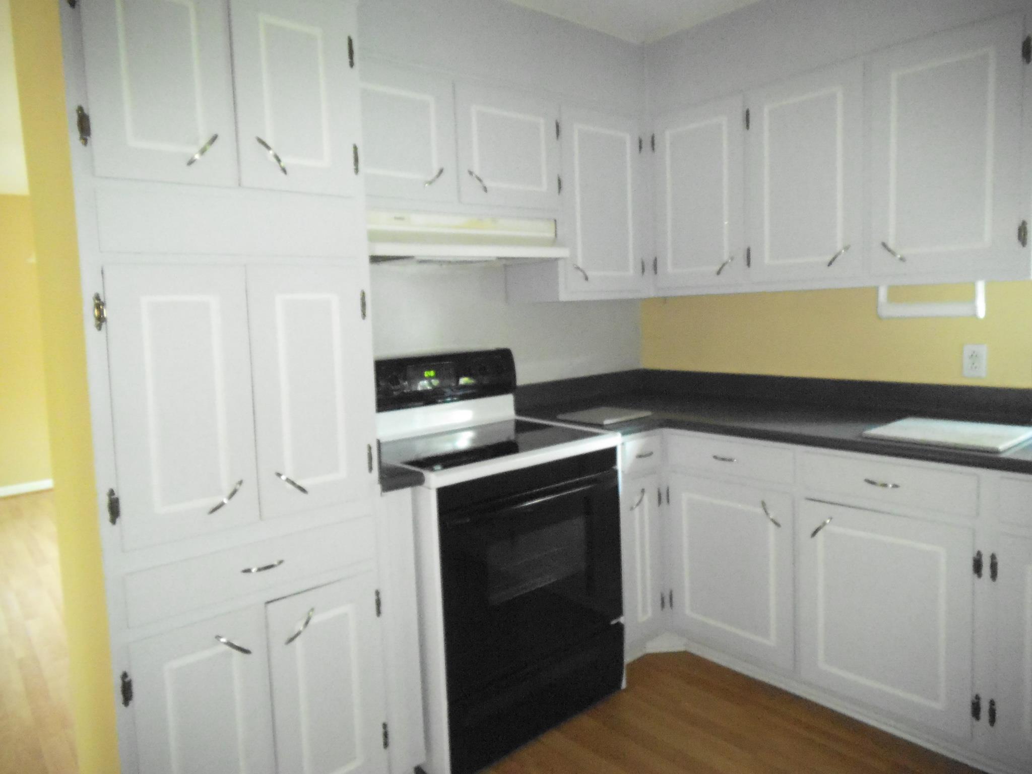 130 Beechwood Blvd, Toccoa, GA 30577 photo 6