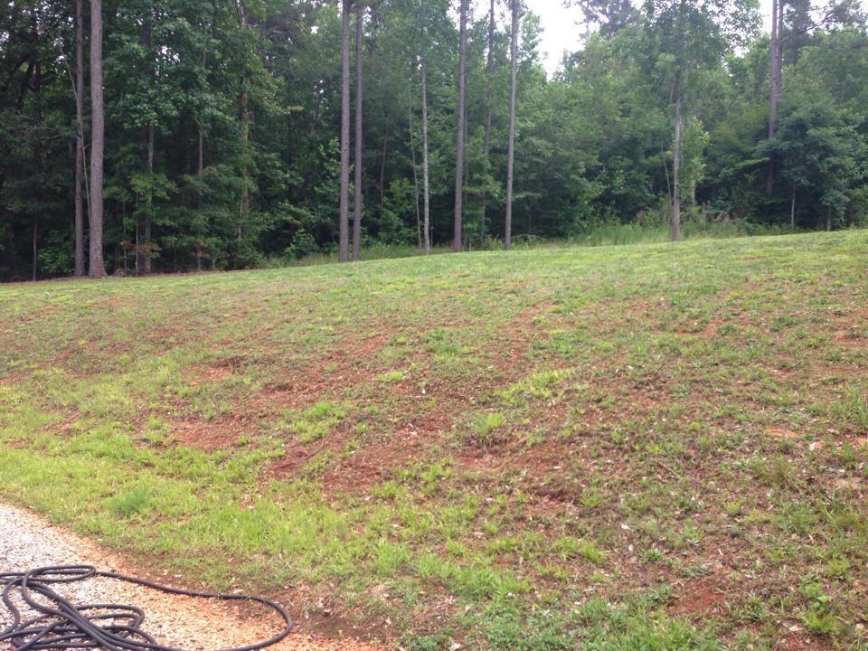 3729 Davis Rd, Toccoa, GA 30577 photo 3