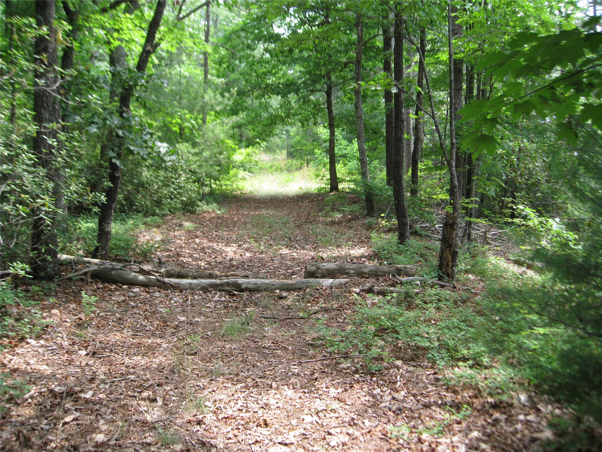 32 Yonah Lake Rd, Toccoa, GA 30577 photo 9