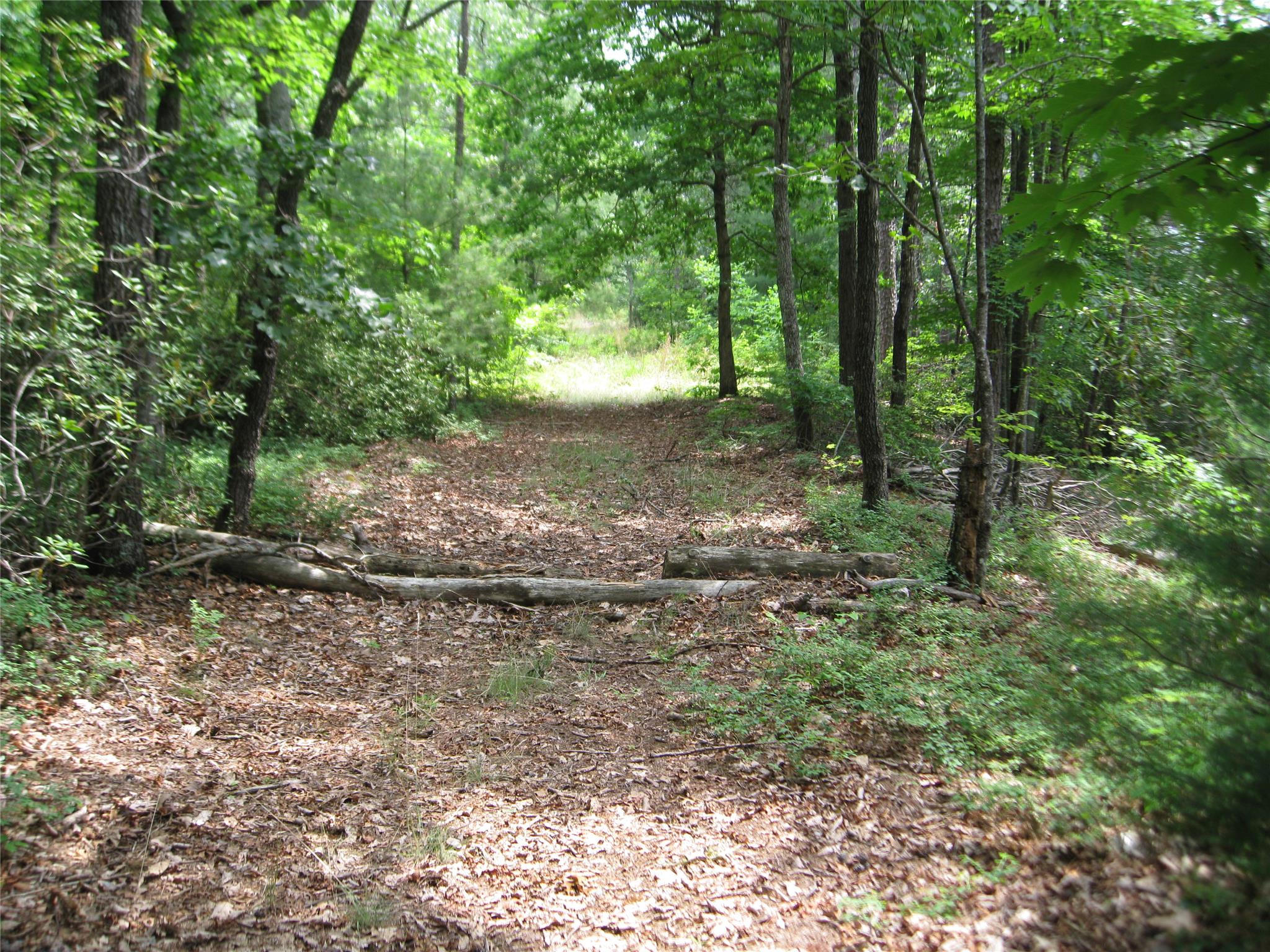 32 Yonah Lake Rd, Toccoa, GA 30577 photo 5