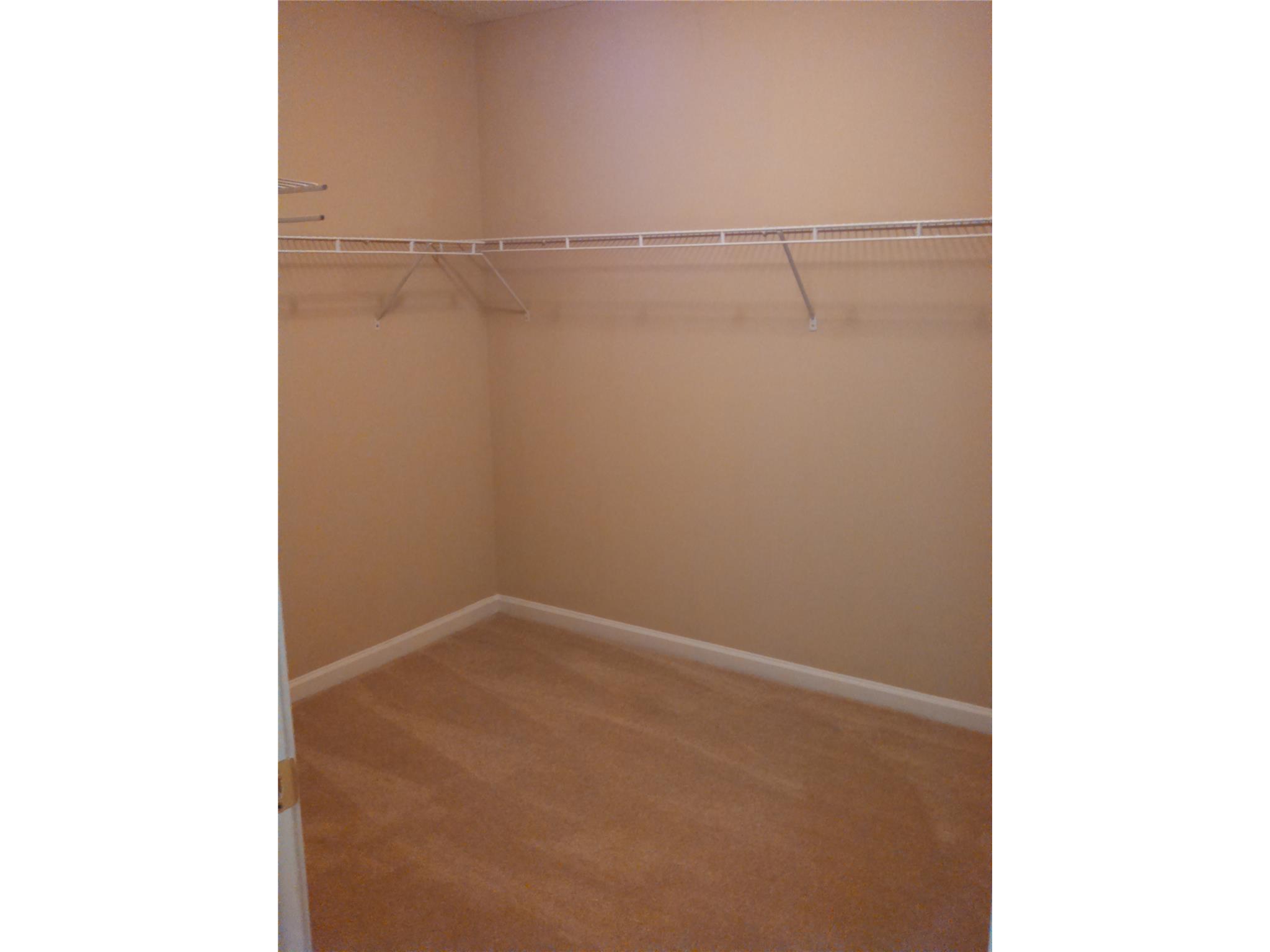 335 Janel Ct, Hampton, GA 30228 photo 14