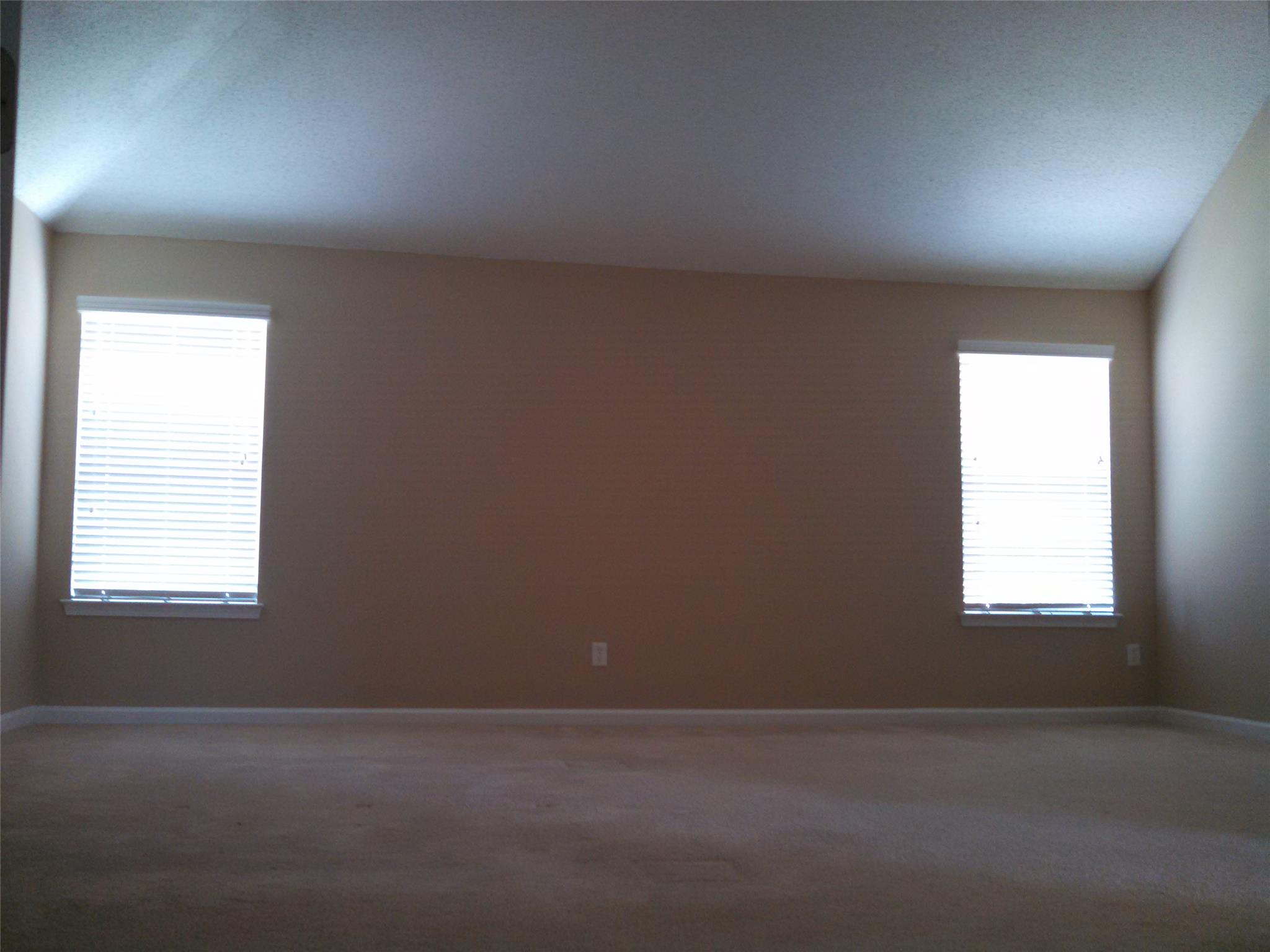 335 Janel Ct, Hampton, GA 30228 photo 13