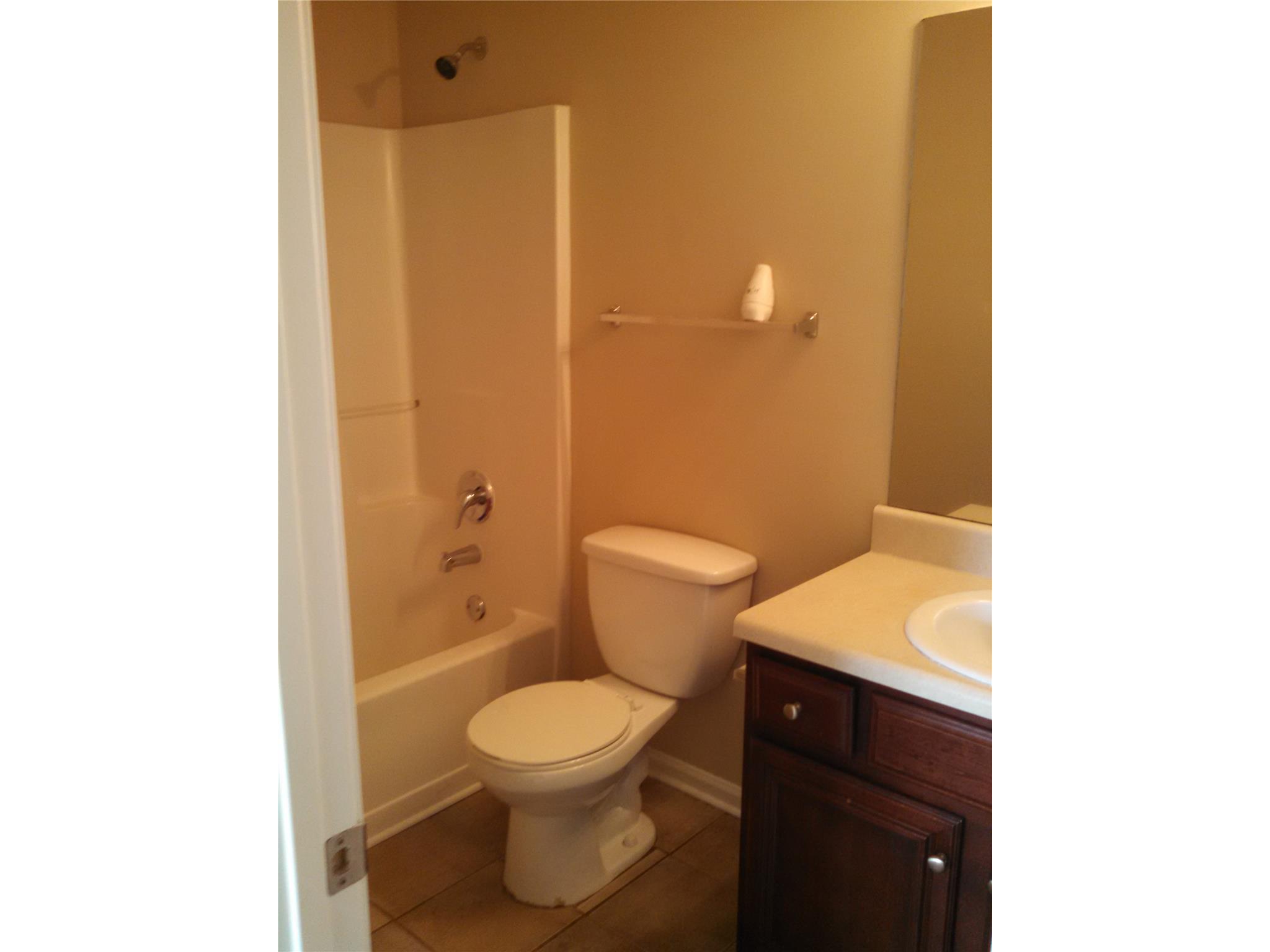335 Janel Ct, Hampton, GA 30228 photo 10