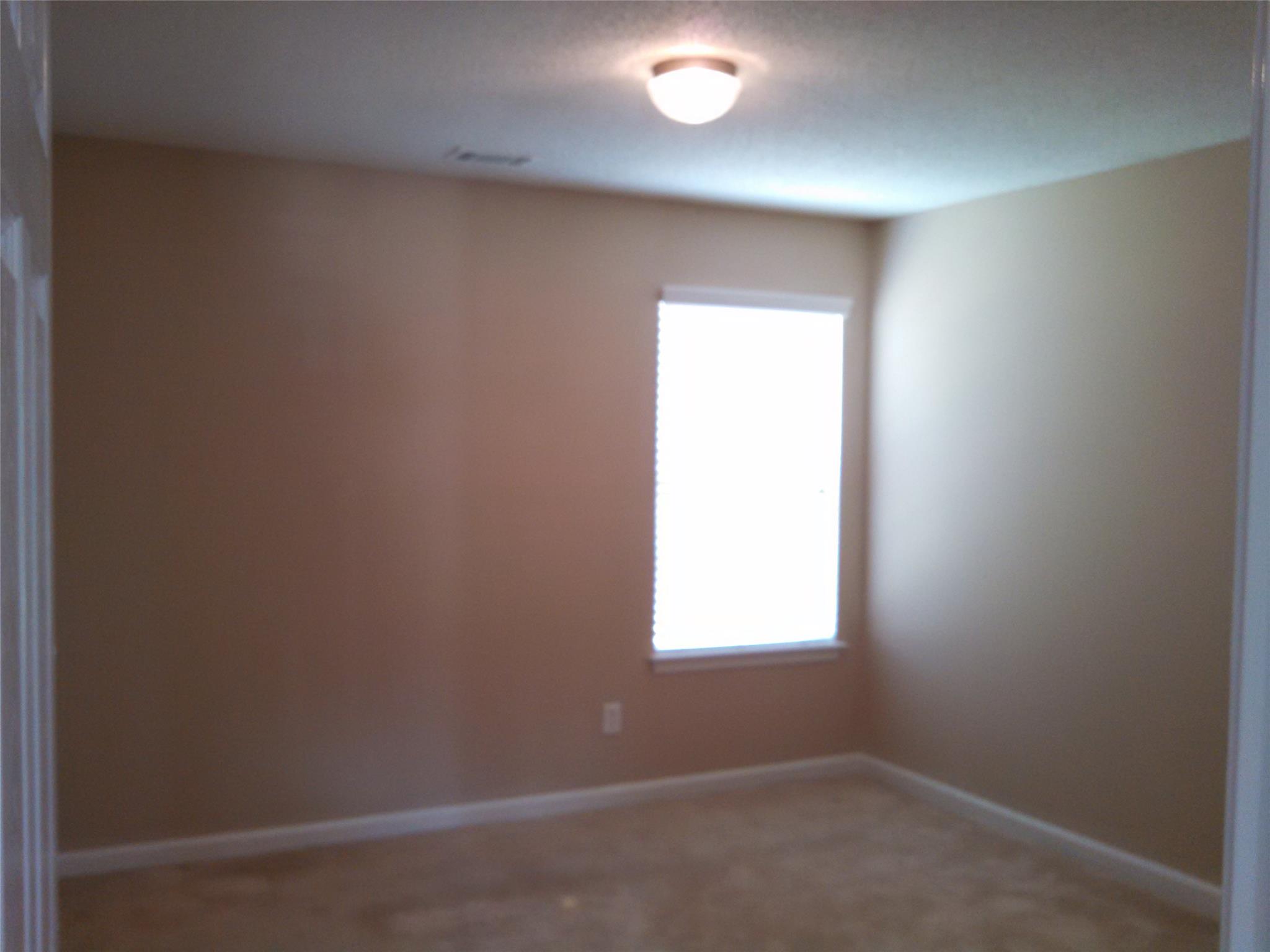 335 Janel Ct, Hampton, GA 30228 photo 5