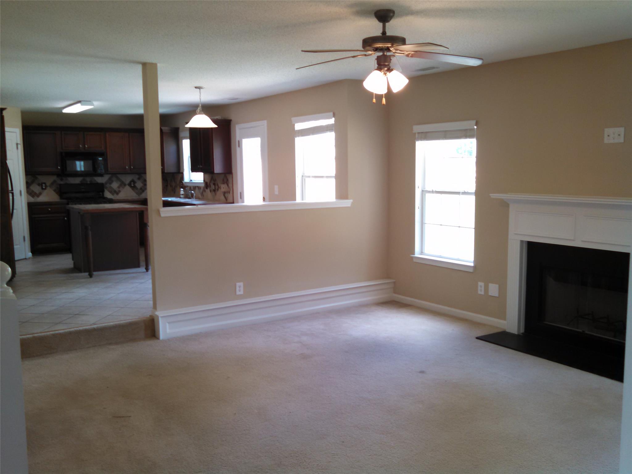 335 Janel Ct, Hampton, GA 30228 photo 7