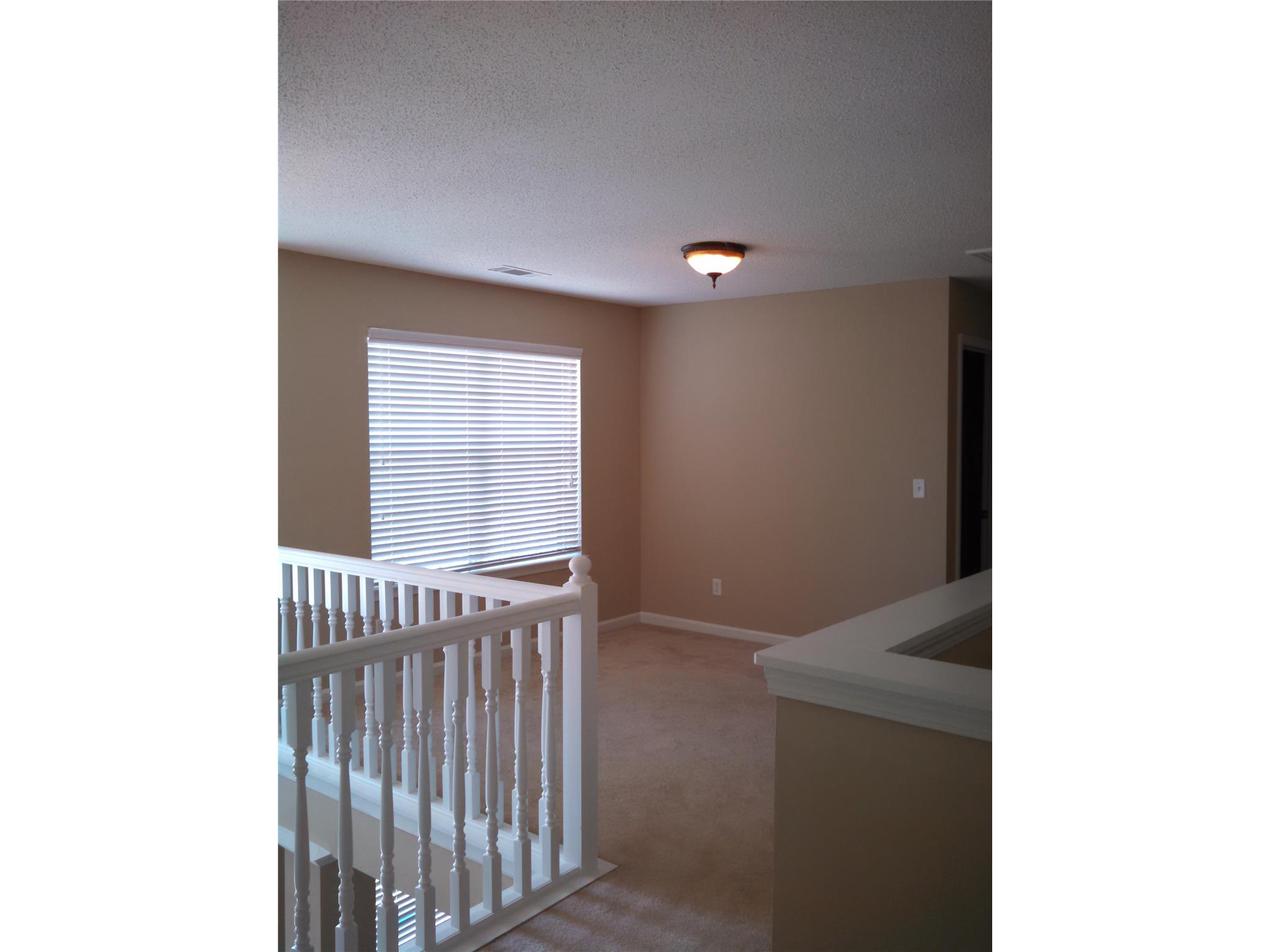 335 Janel Ct, Hampton, GA 30228 photo 19