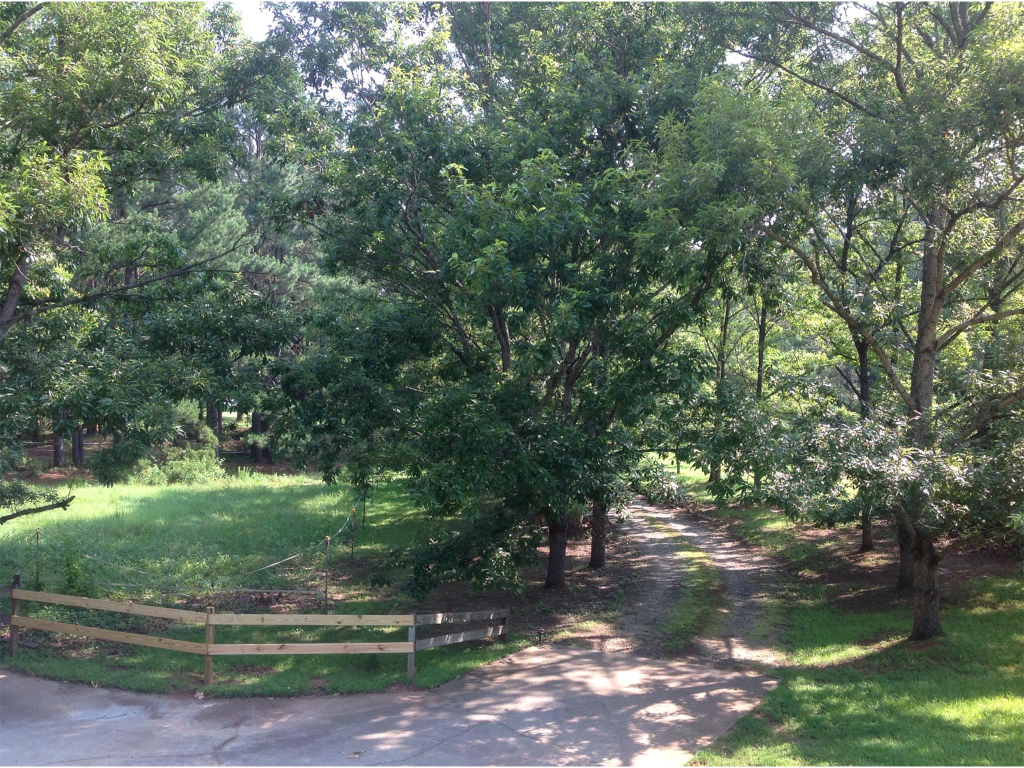 1530 Lower River Rd, Covington, GA 30016 photo 4