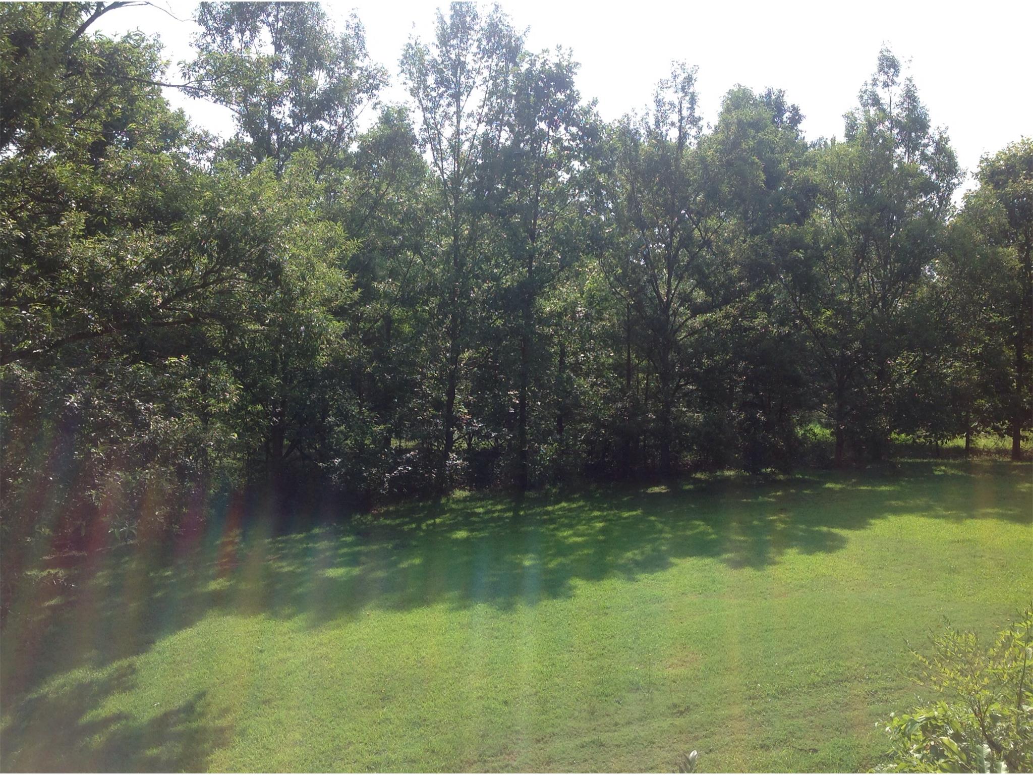 1530 Lower River Rd, Covington, GA 30016 photo 6