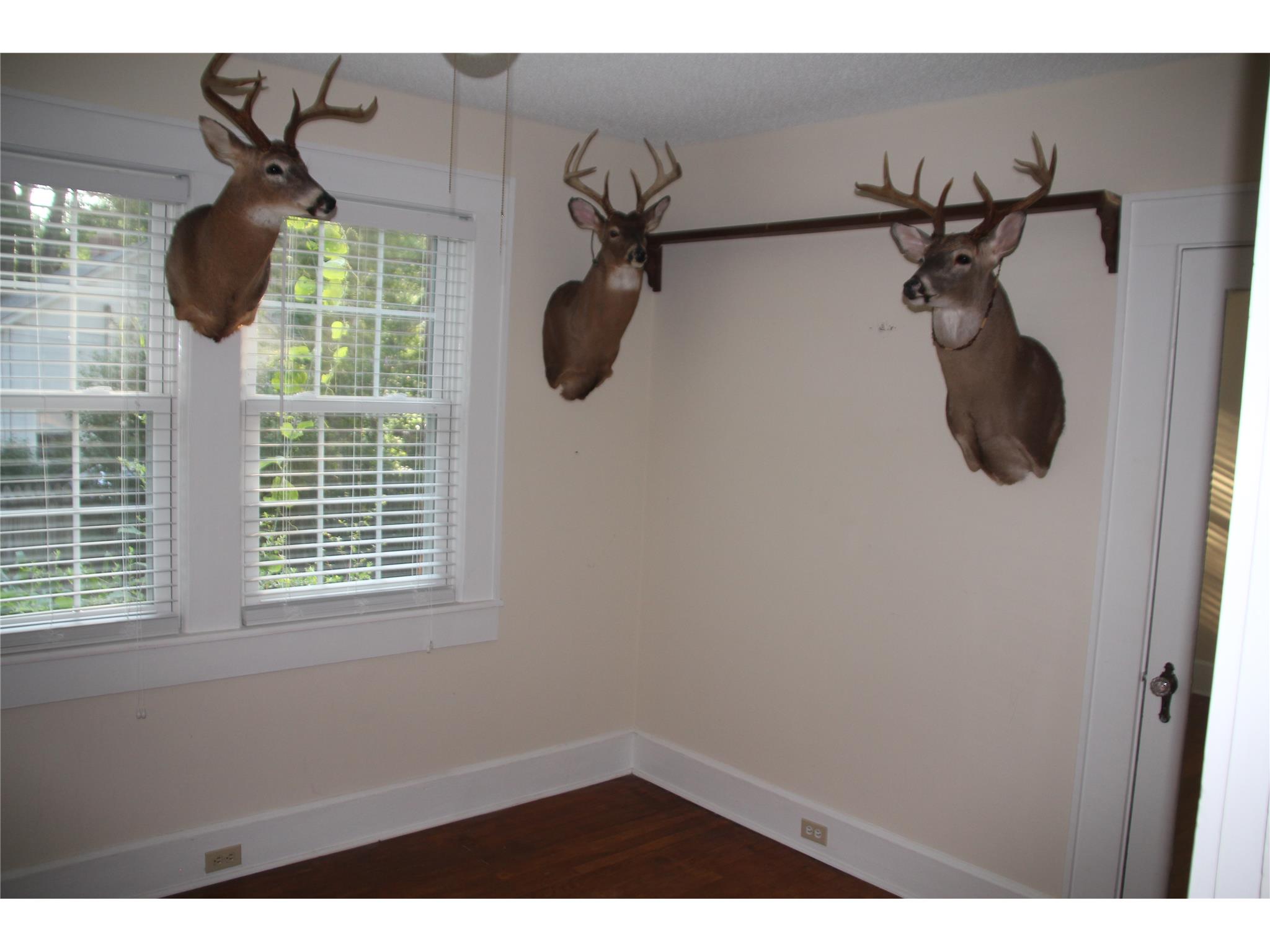 978 E Tugalo St, Toccoa, GA 30577 photo 8