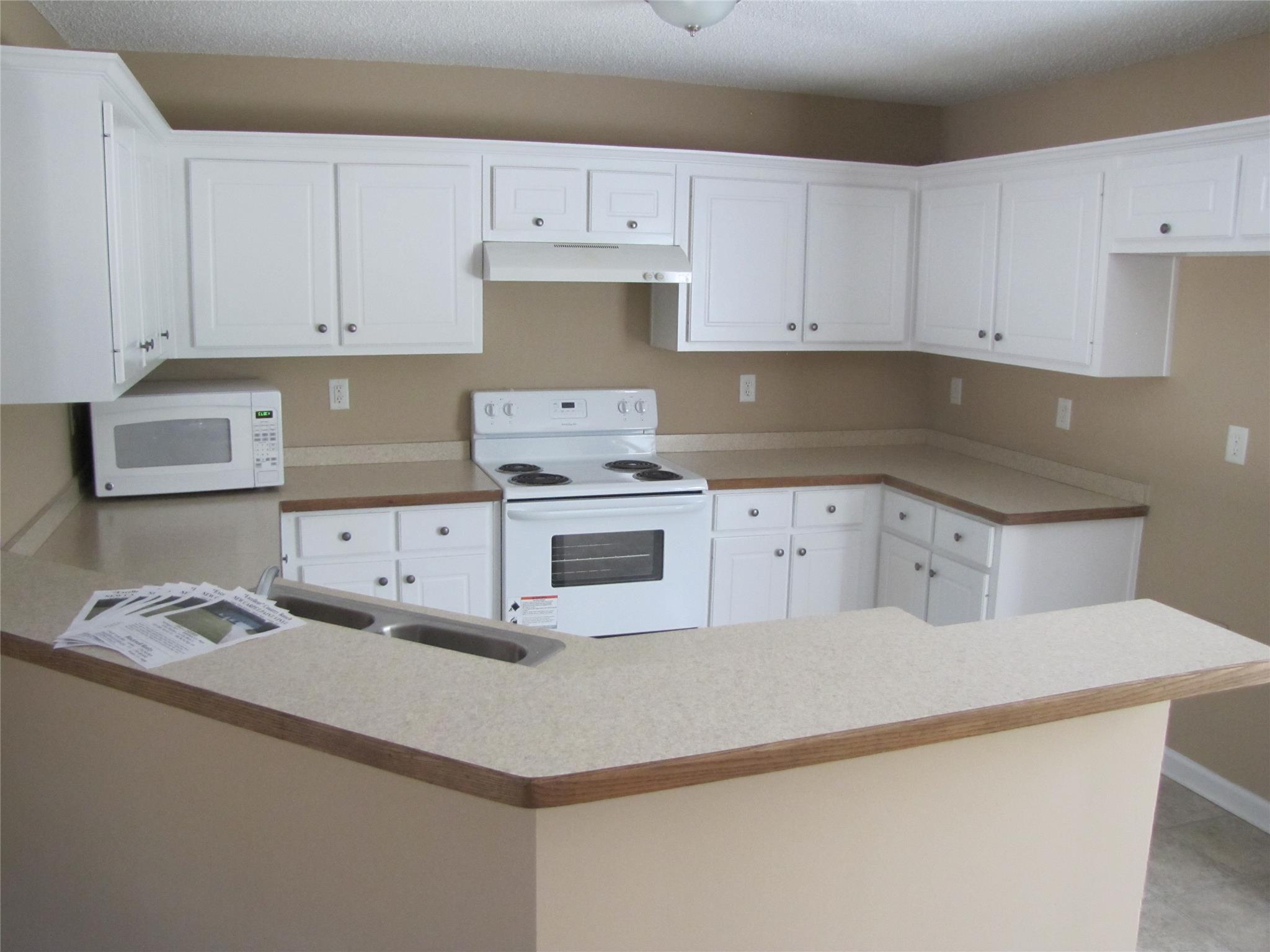 309 Maggie Ct, Bethlehem, GA 30620 photo 5