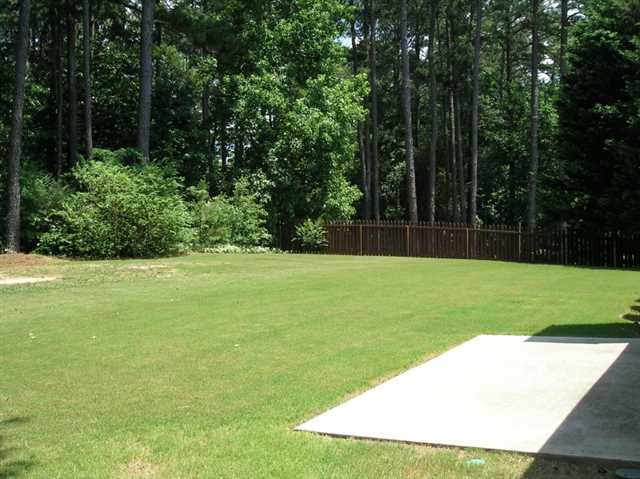 2965 Phillips Bend Xing, Buford, GA 30519 photo 19