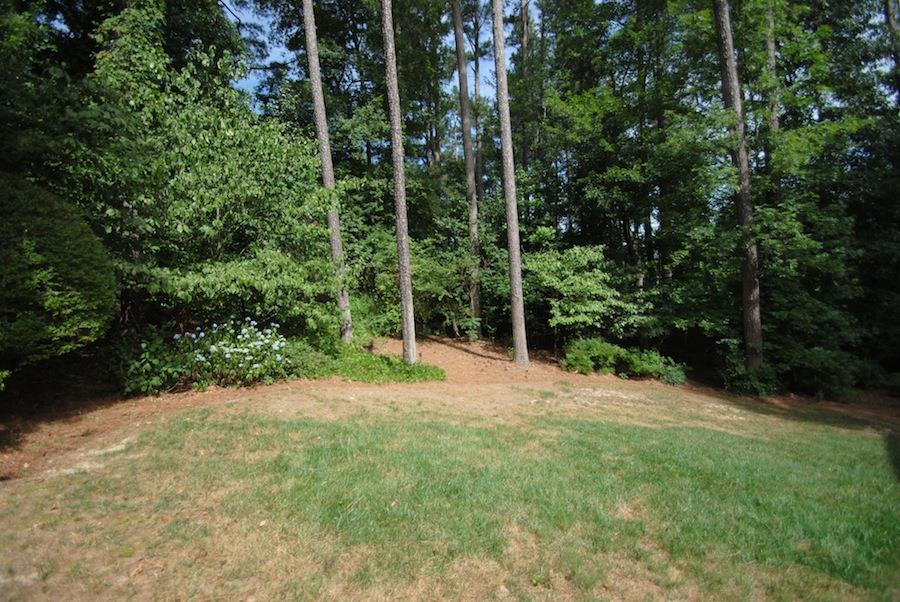 1015 Falcon View Cv, Grayson, GA 30017 photo 24