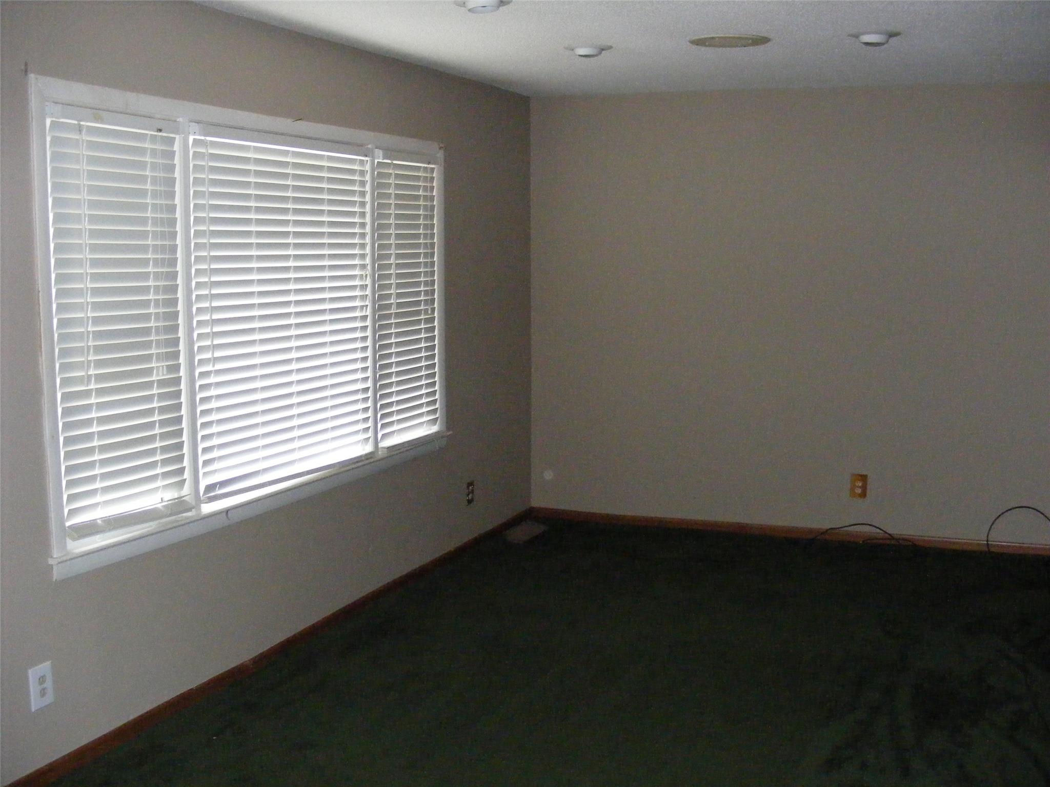 164 Sky Pine Dr, Cornelia, GA 30531 photo 4