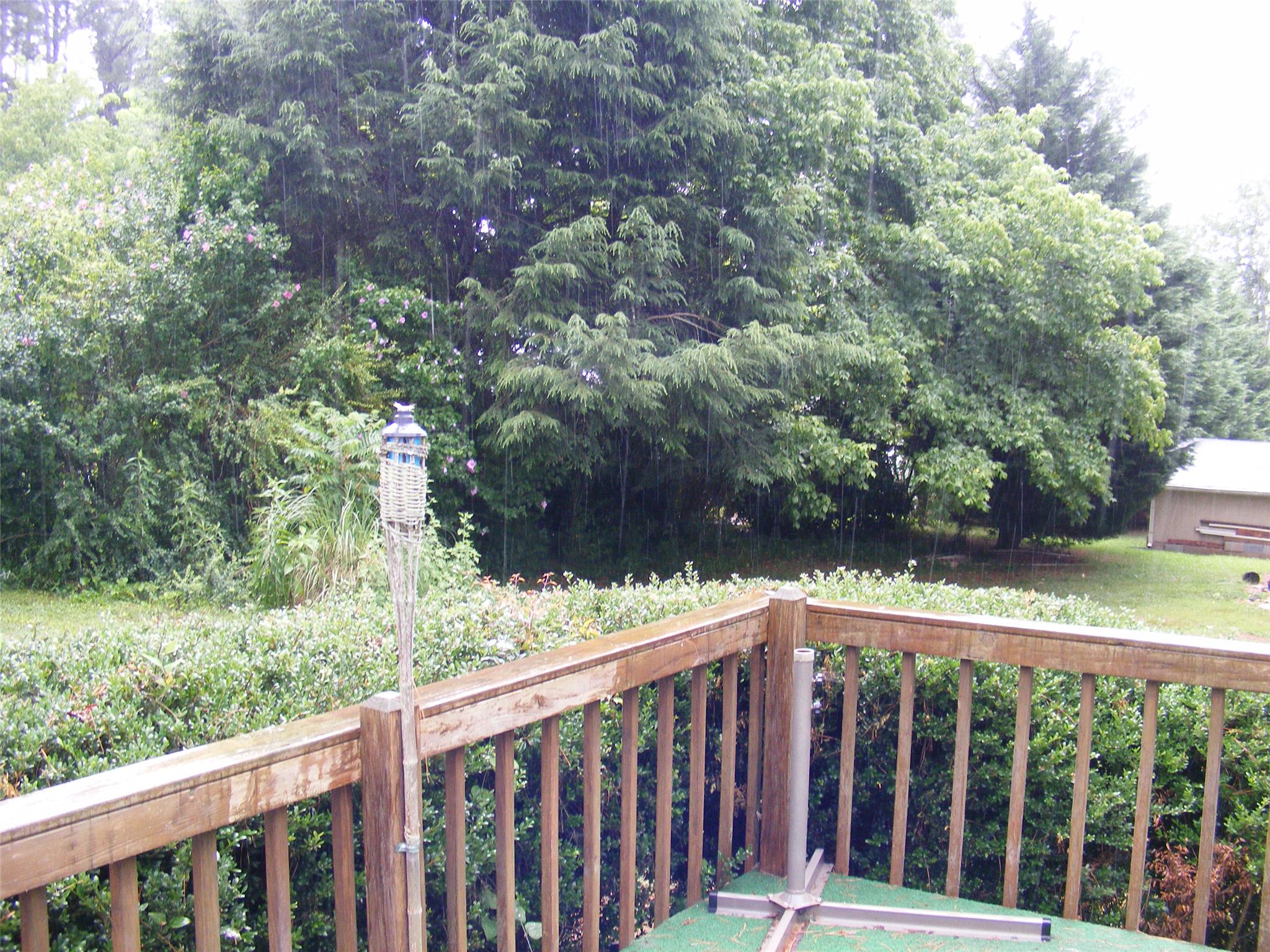 164 Sky Pine Dr, Cornelia, GA 30531 photo 16