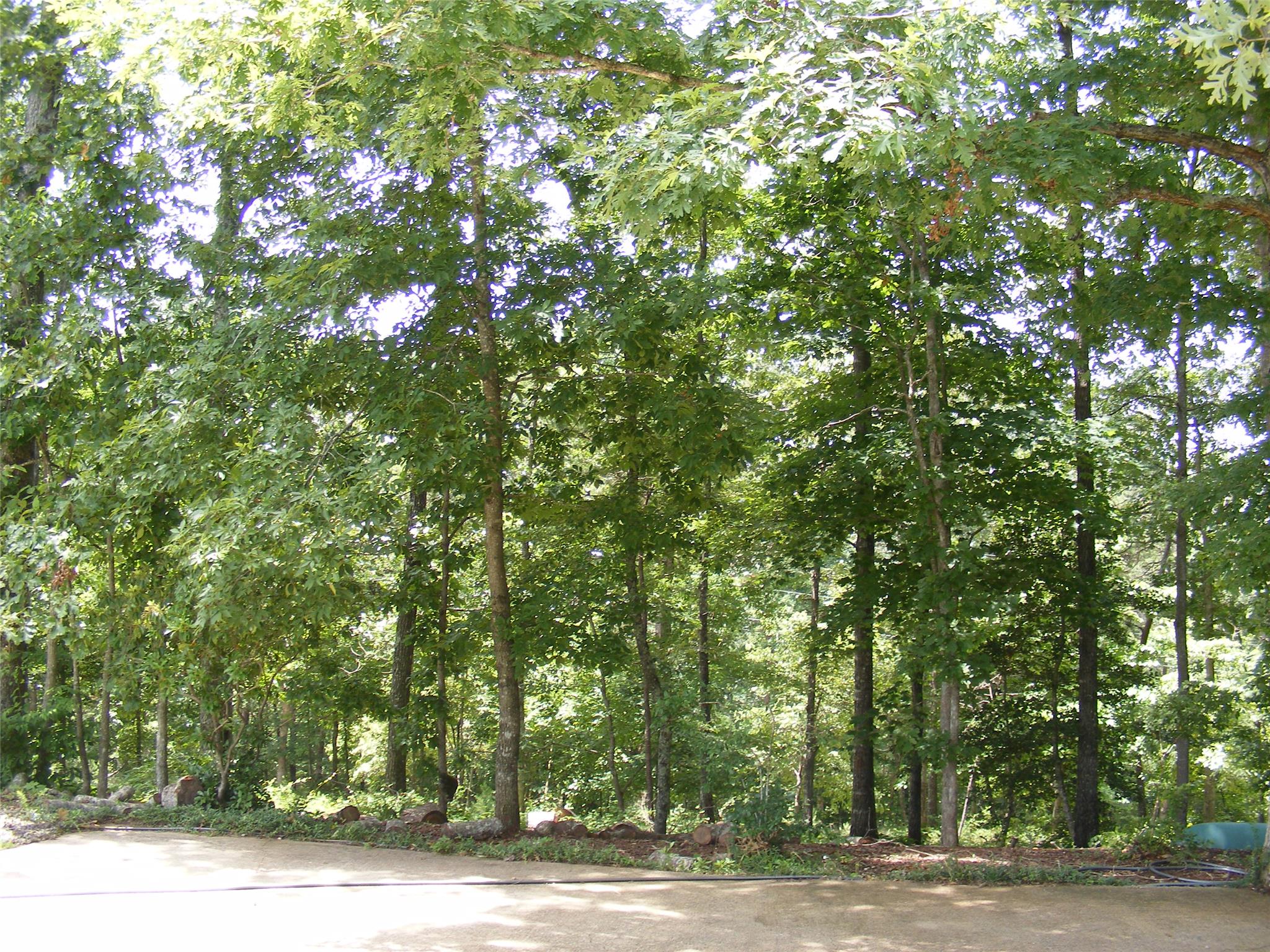 392 Cobblestone Ln, Demorest, GA 30535 photo 24