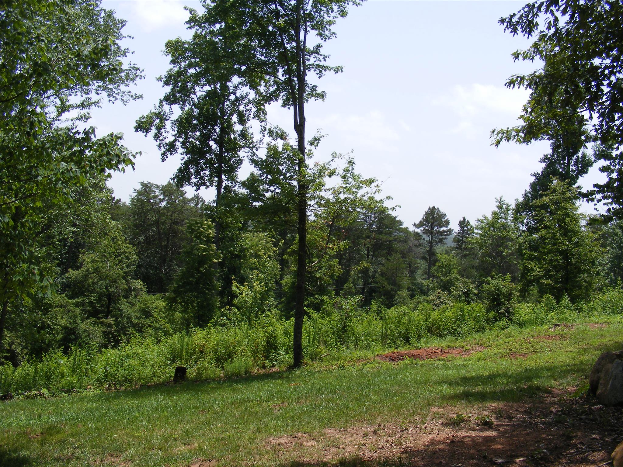 392 Cobblestone Ln, Demorest, GA 30535 photo 21