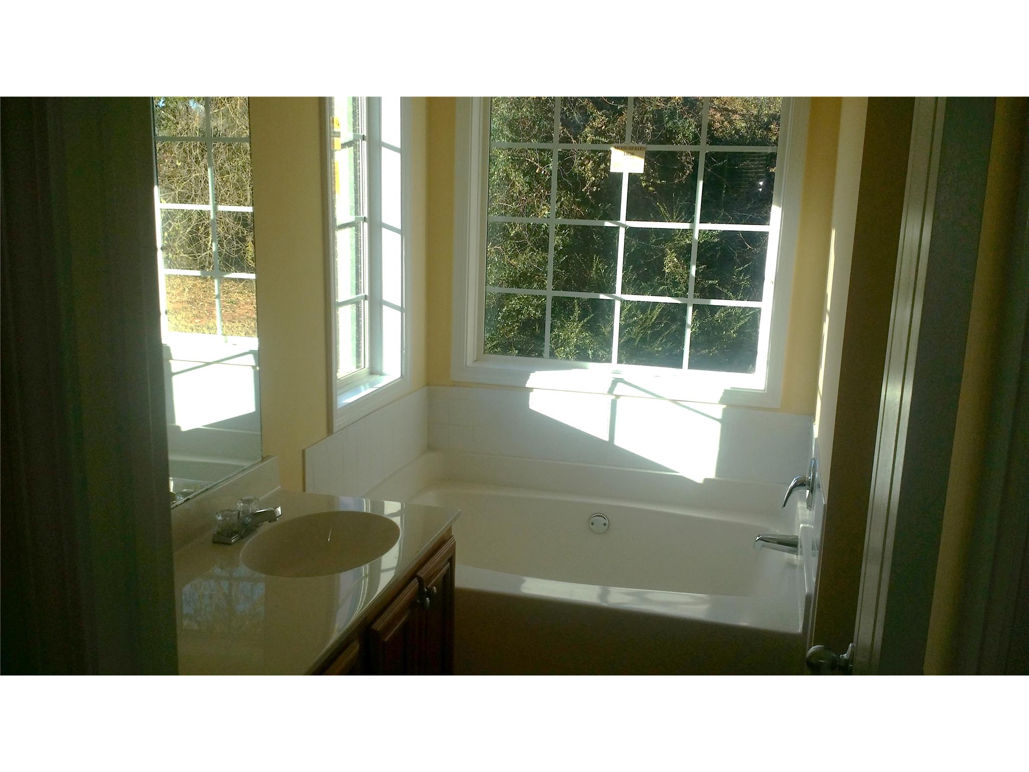 860 Betsy Ross Trl, Hampton, GA 30228 photo 14
