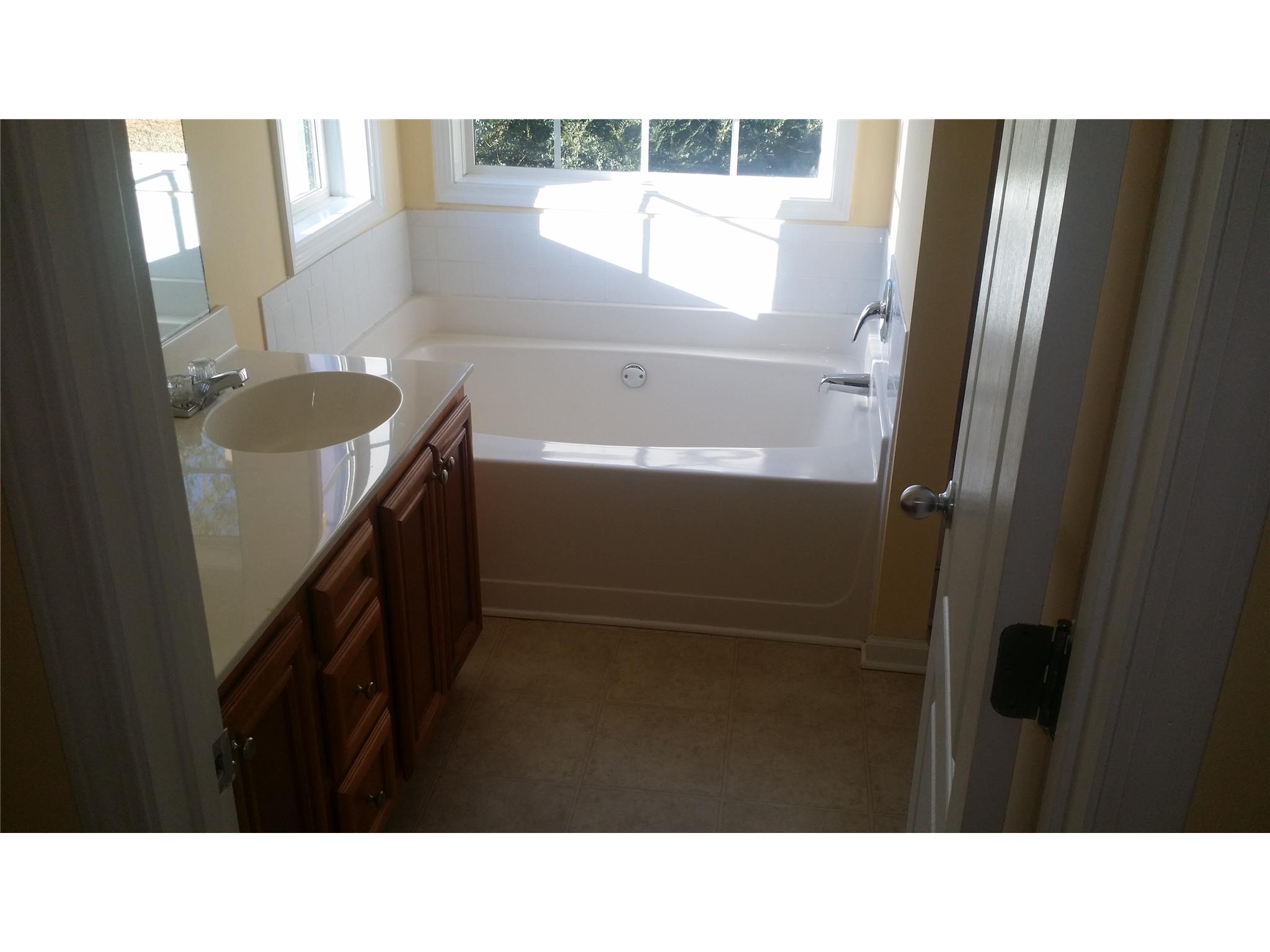 860 Betsy Ross Trl, Hampton, GA 30228 photo 20