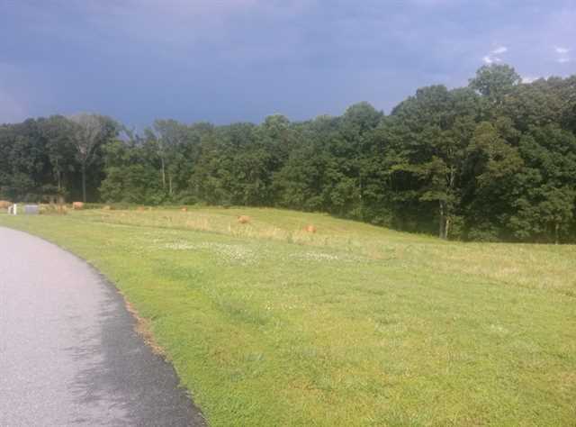 307 Trinity Overlook, Canton, GA 30115 photo 7