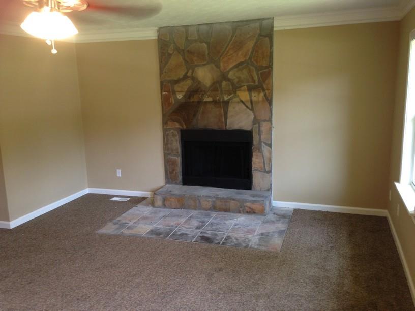 355 Freestone Dr, Newnan, GA 30265 photo 5