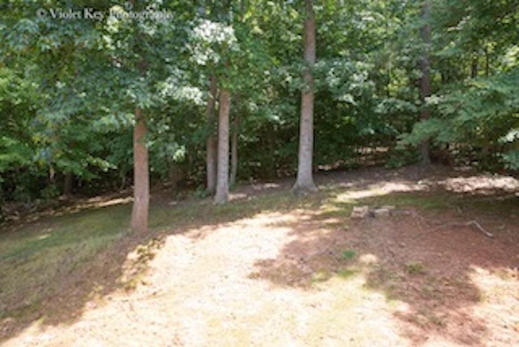 2538 Summit Cove Dr, Duluth, GA 30097 photo 13