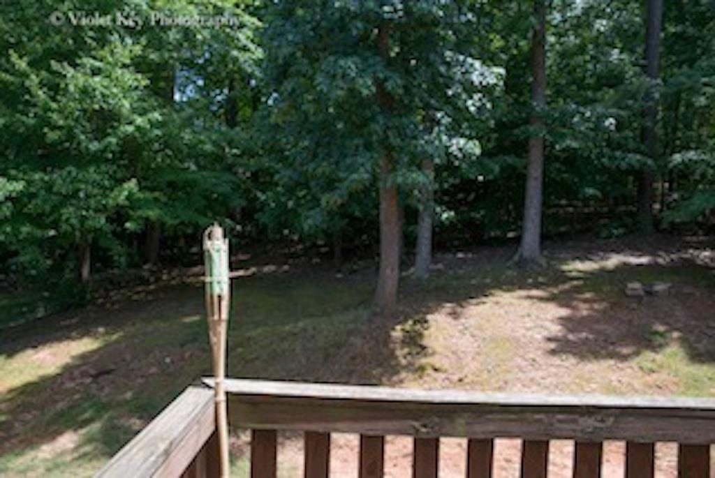 2538 Summit Cove Dr, Duluth, GA 30097 photo 14
