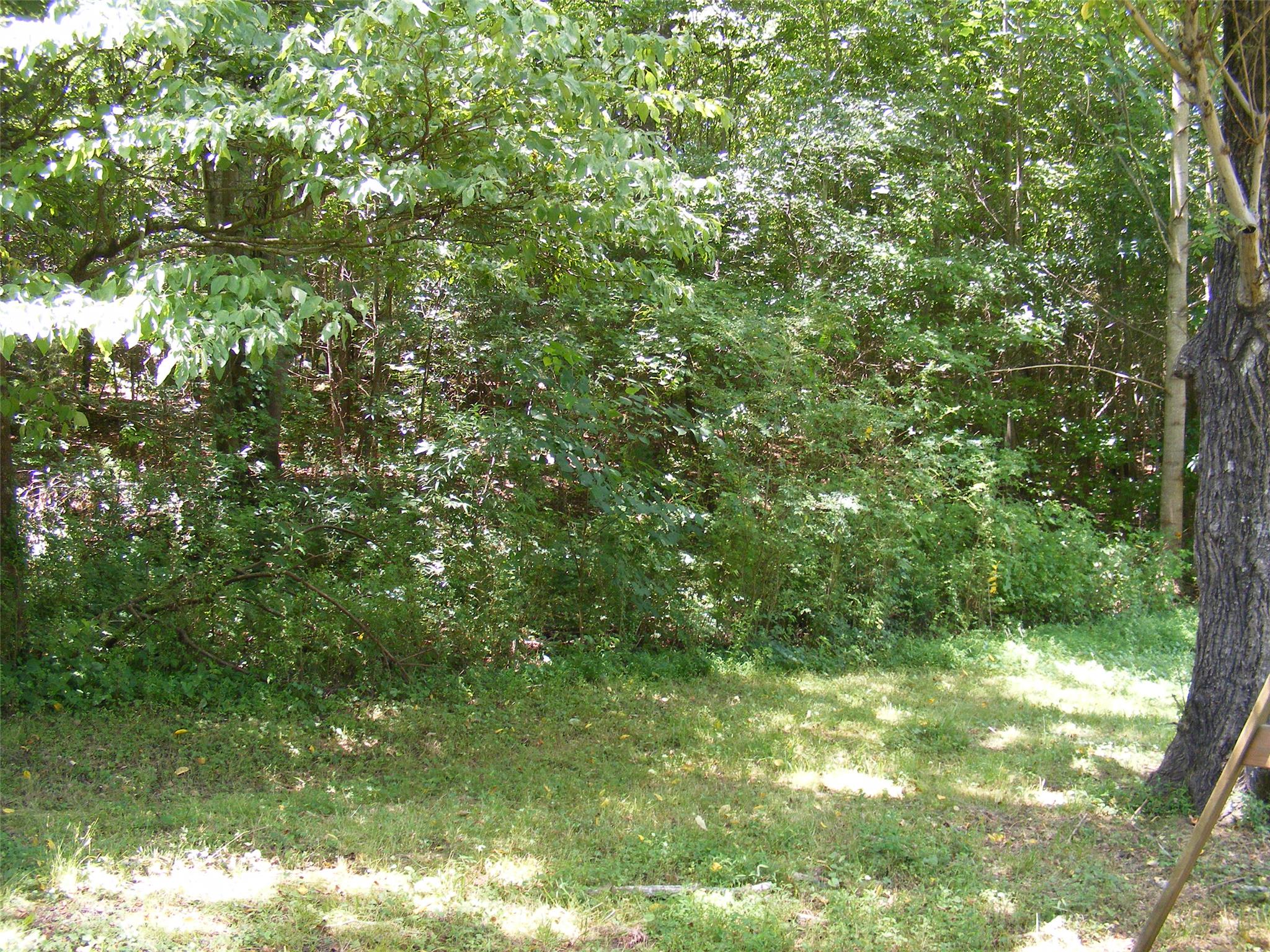 2767 B C Grant Rd, Cornelia, GA 30531 photo 22