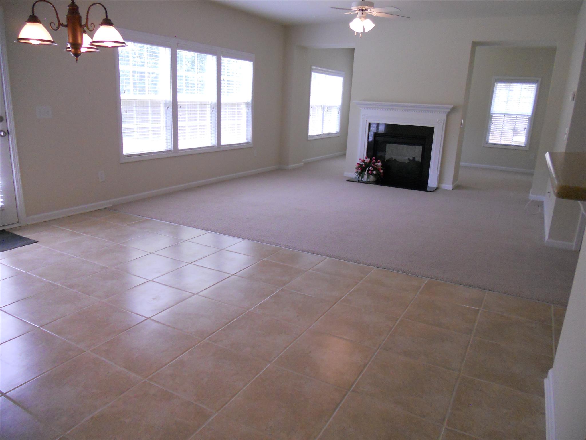 6879 Downs Ave, Duluth, GA 30097 photo 12