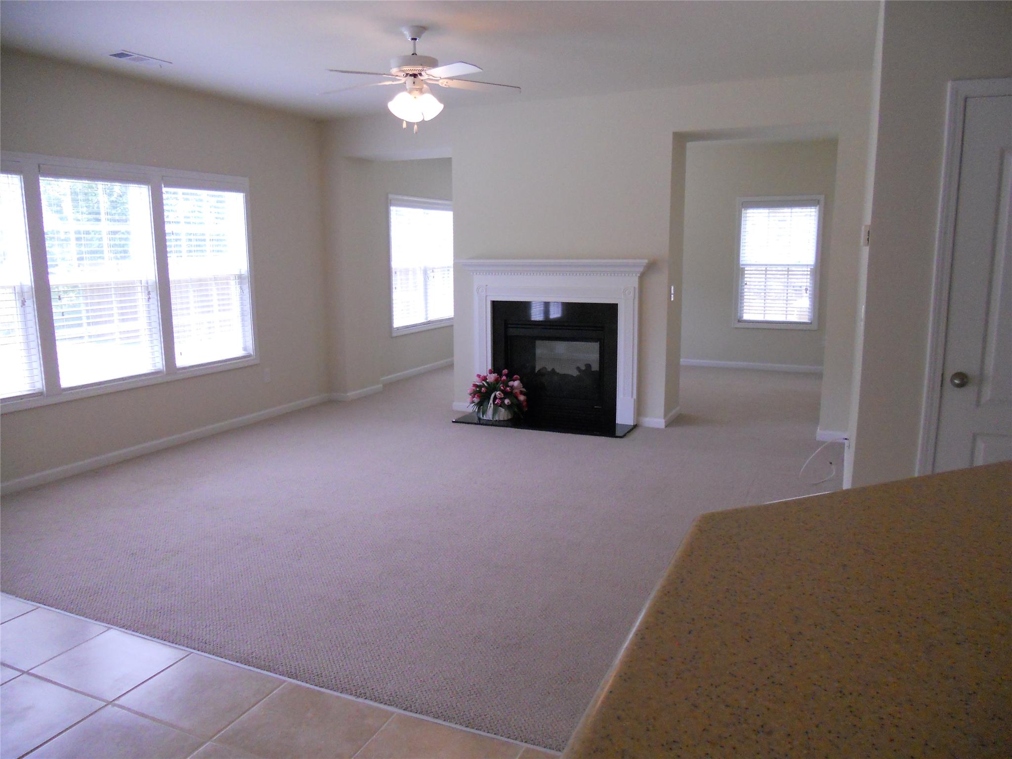 6879 Downs Ave, Duluth, GA 30097 photo 13